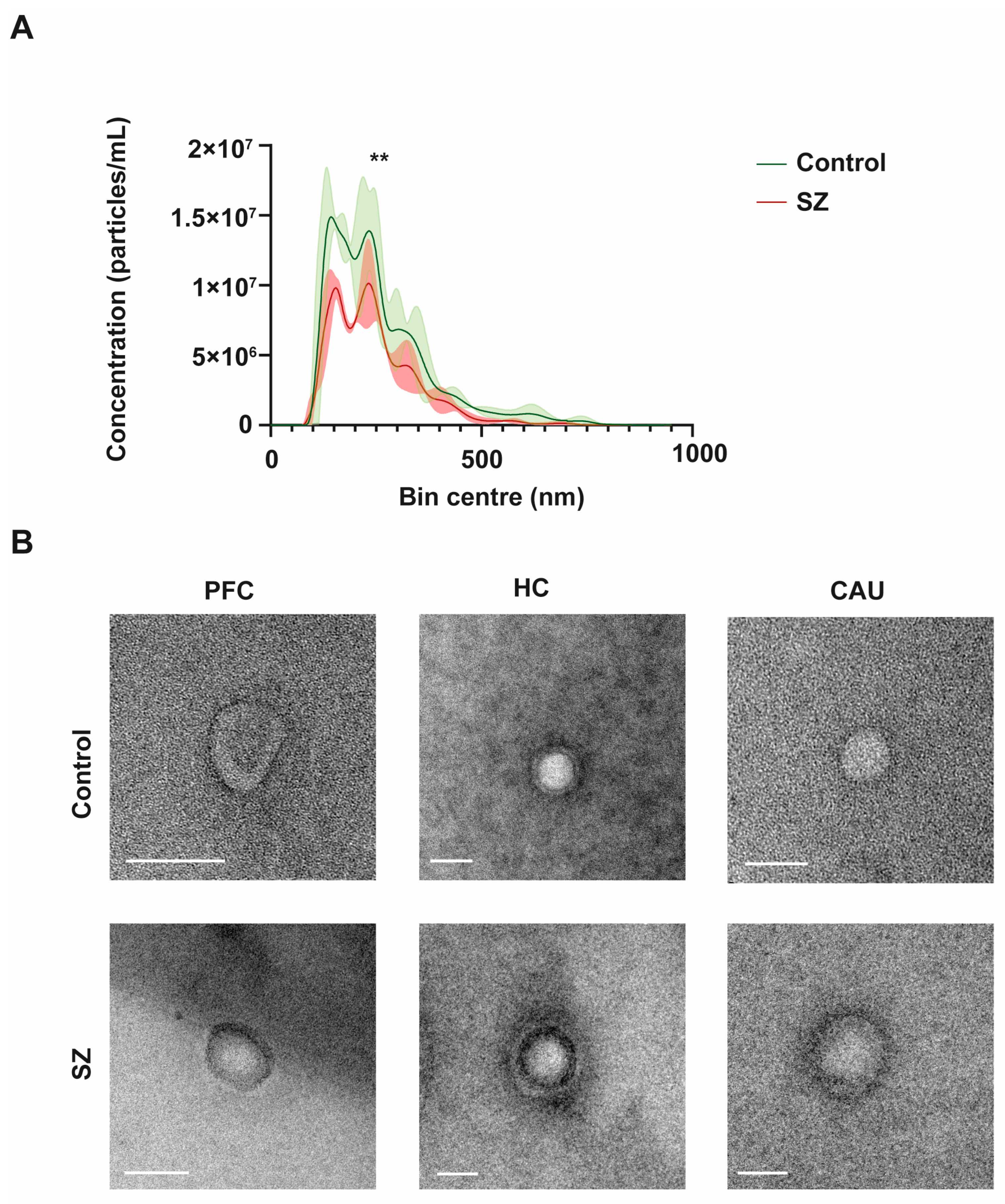 Biomedicines 12 00129 g001