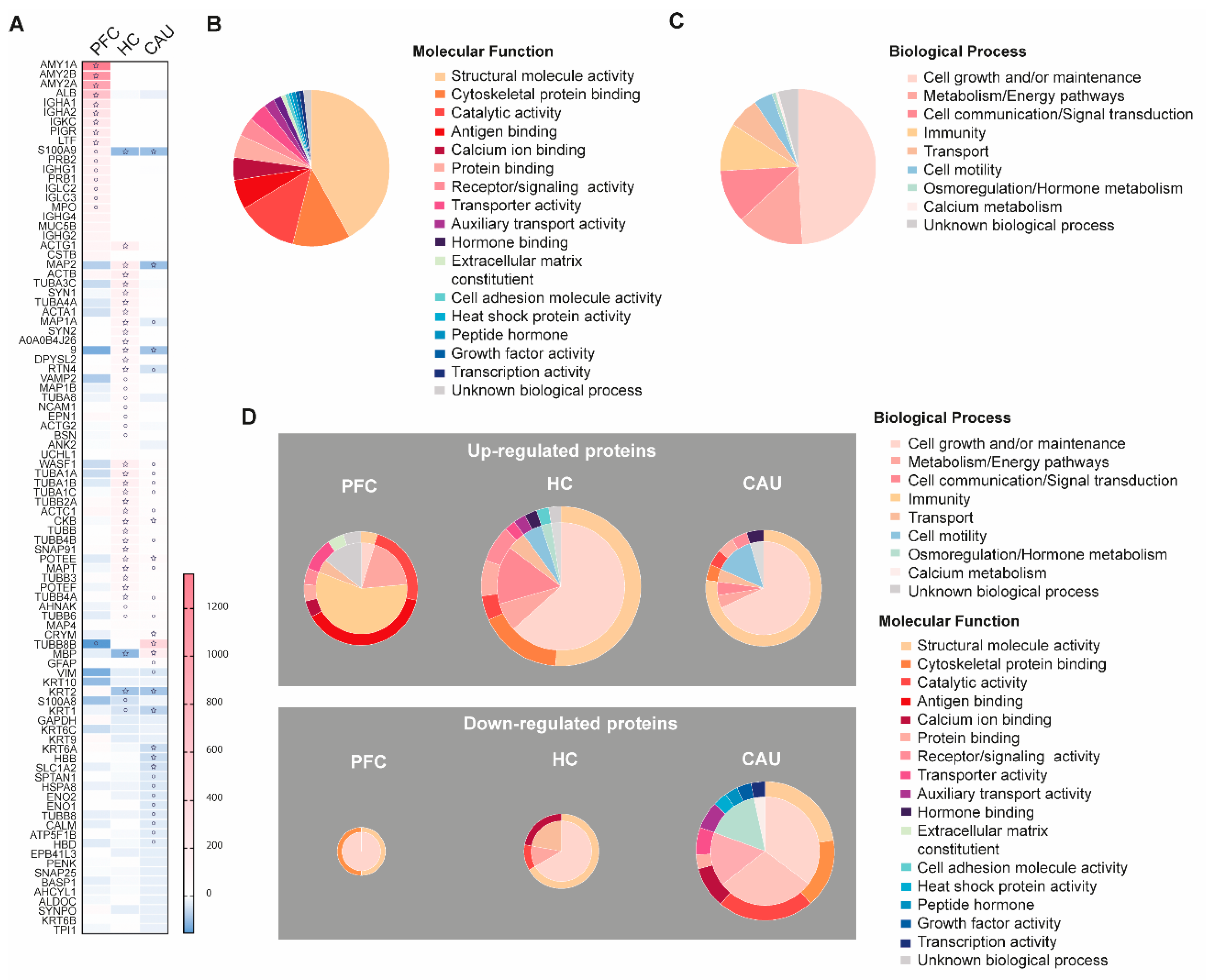 Biomedicines 12 00129 g003