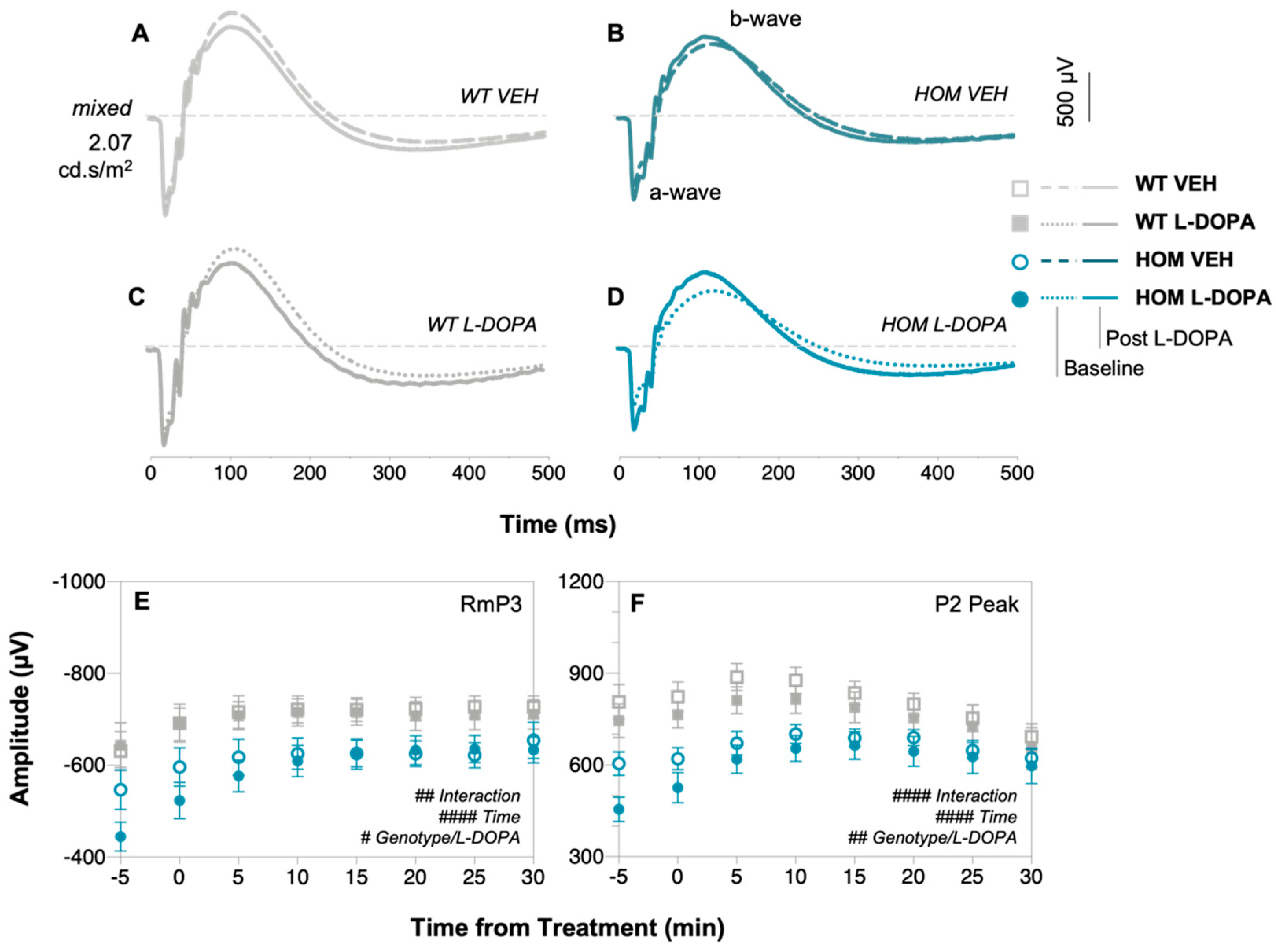 Biomedicines 12 00130 g002