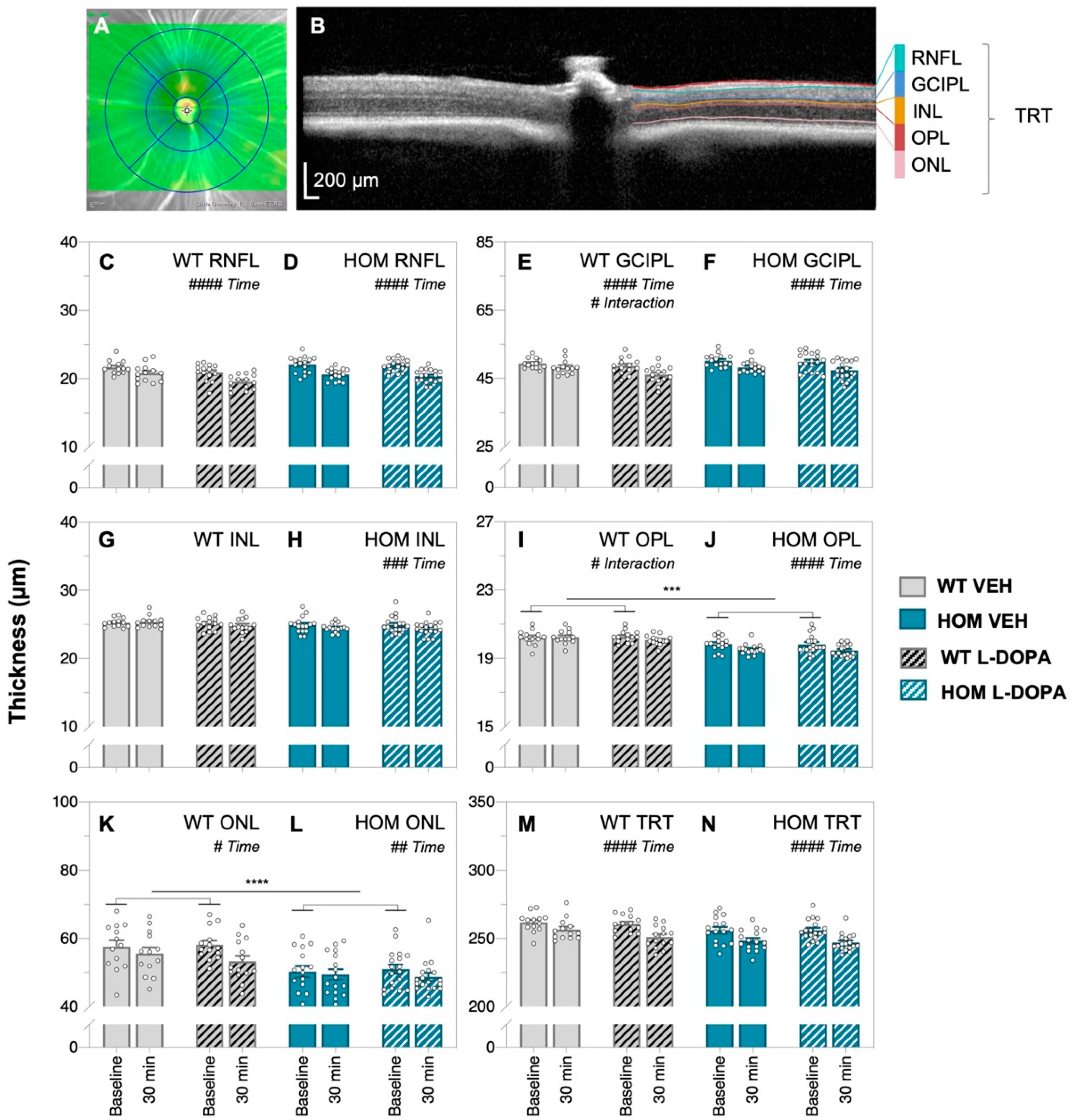 Biomedicines 12 00130 g004