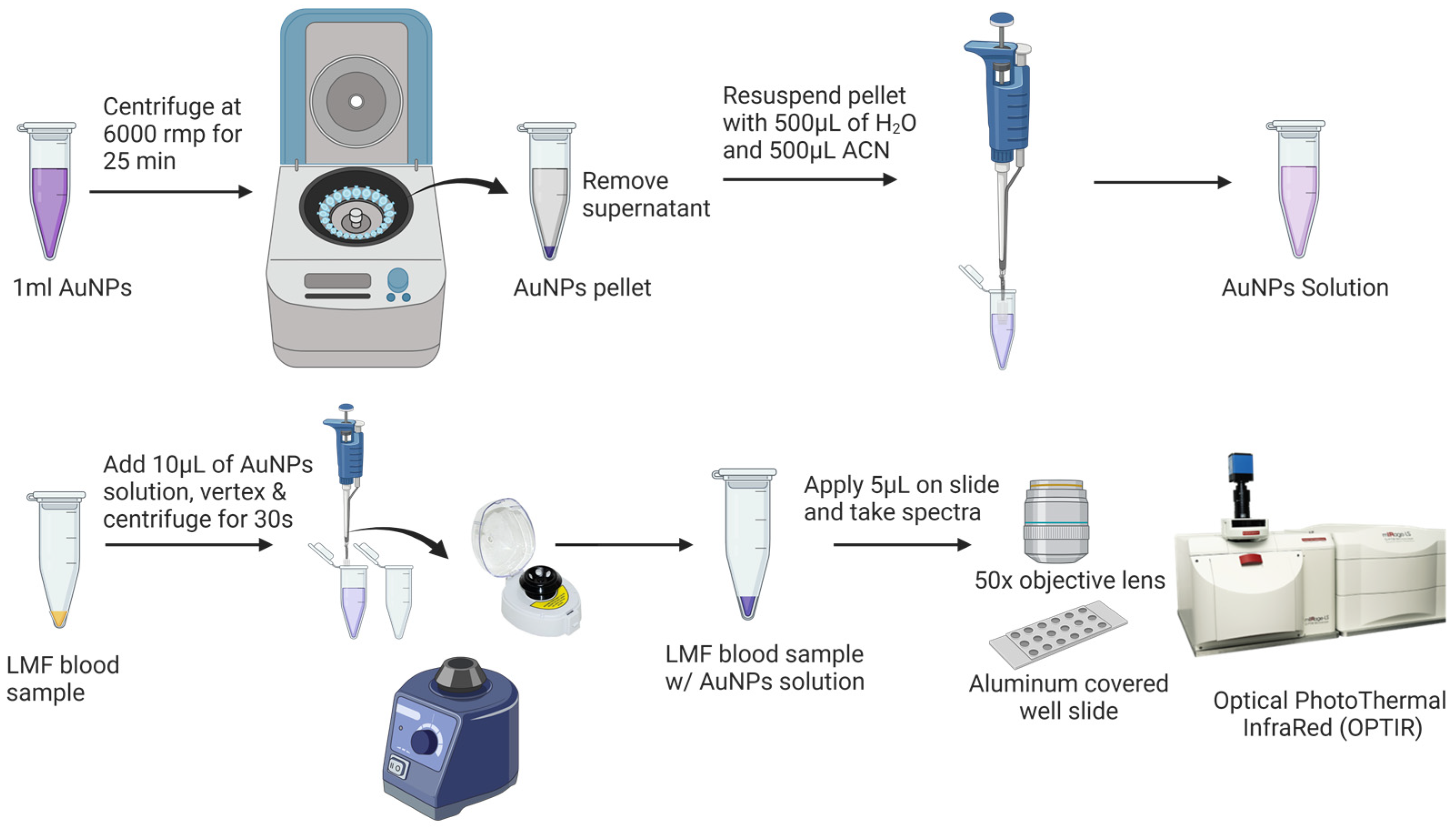 Biomedicines 12 00133 g002