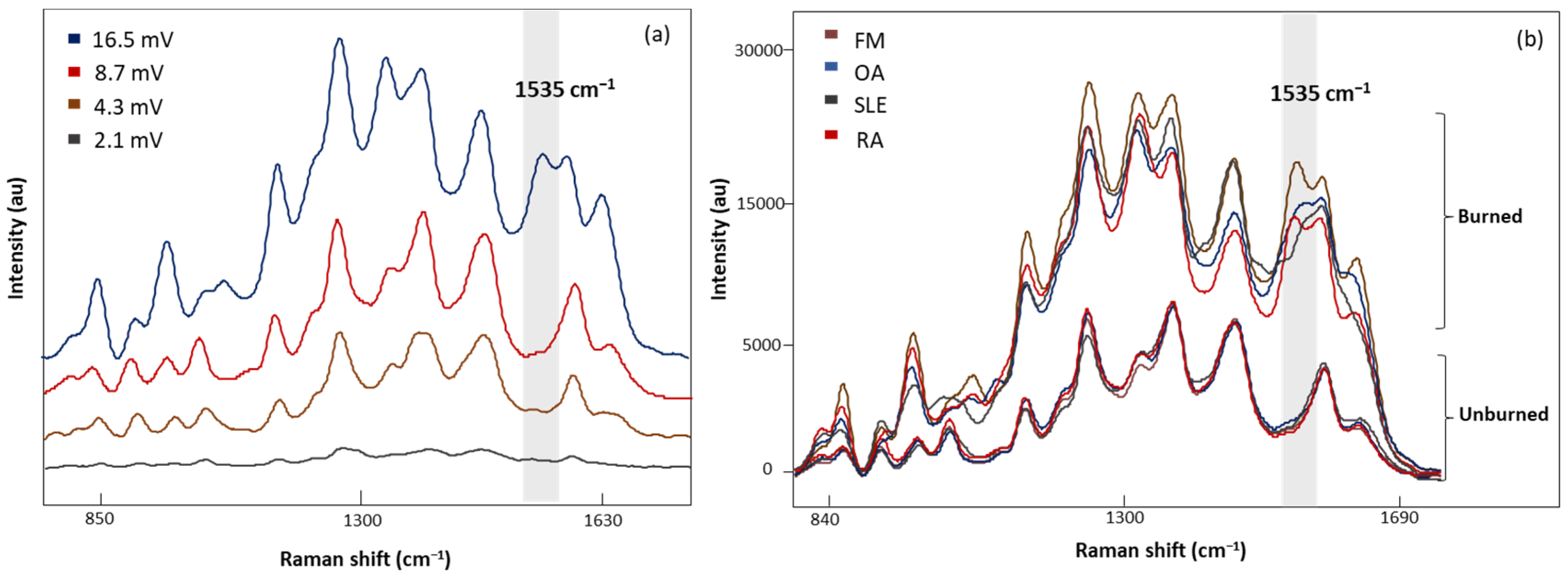 Biomedicines 12 00133 g004