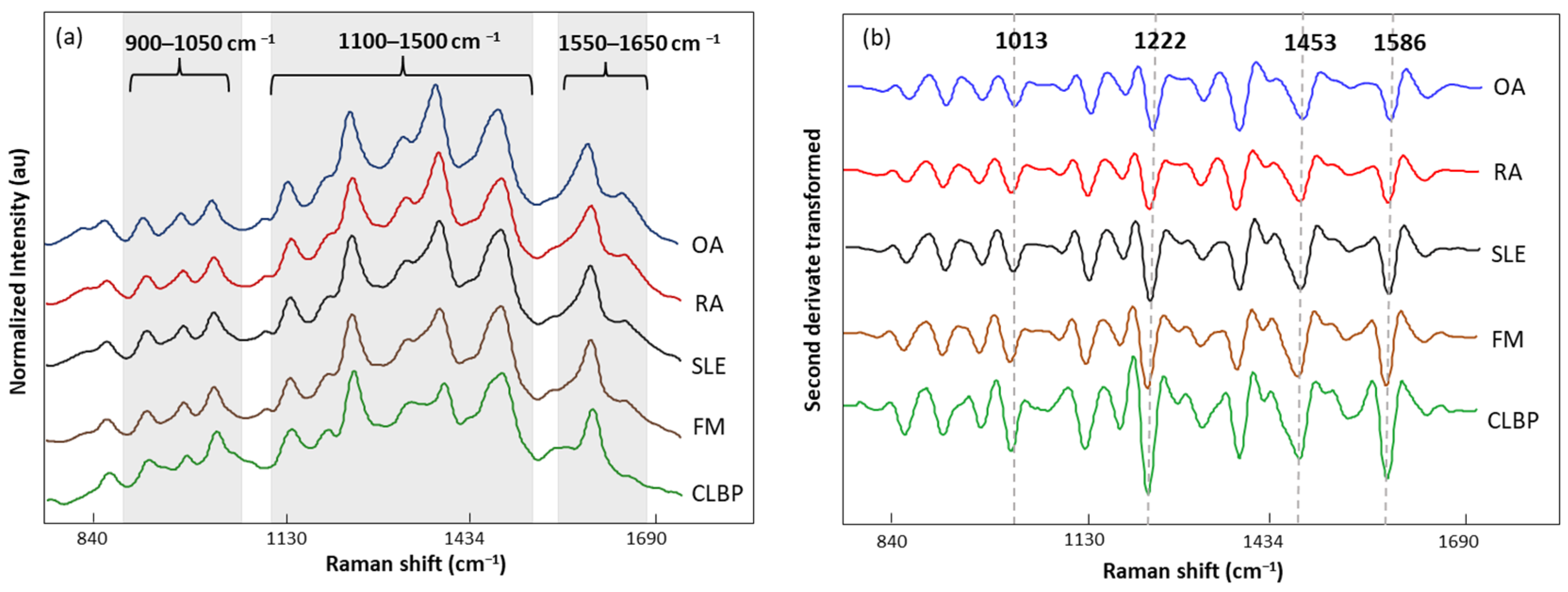 Biomedicines 12 00133 g006