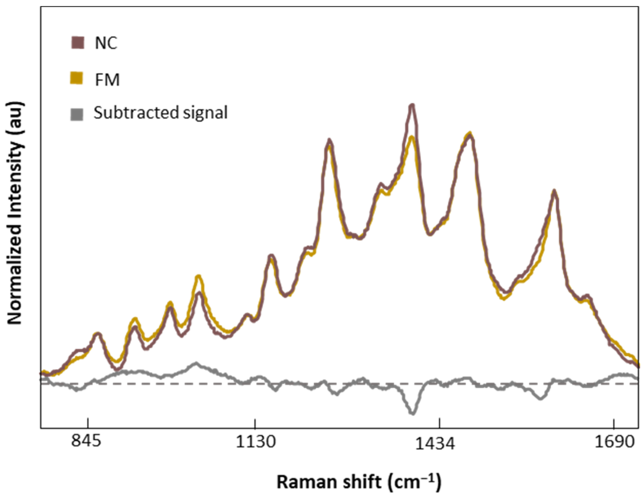 Biomedicines 12 00133 g007
