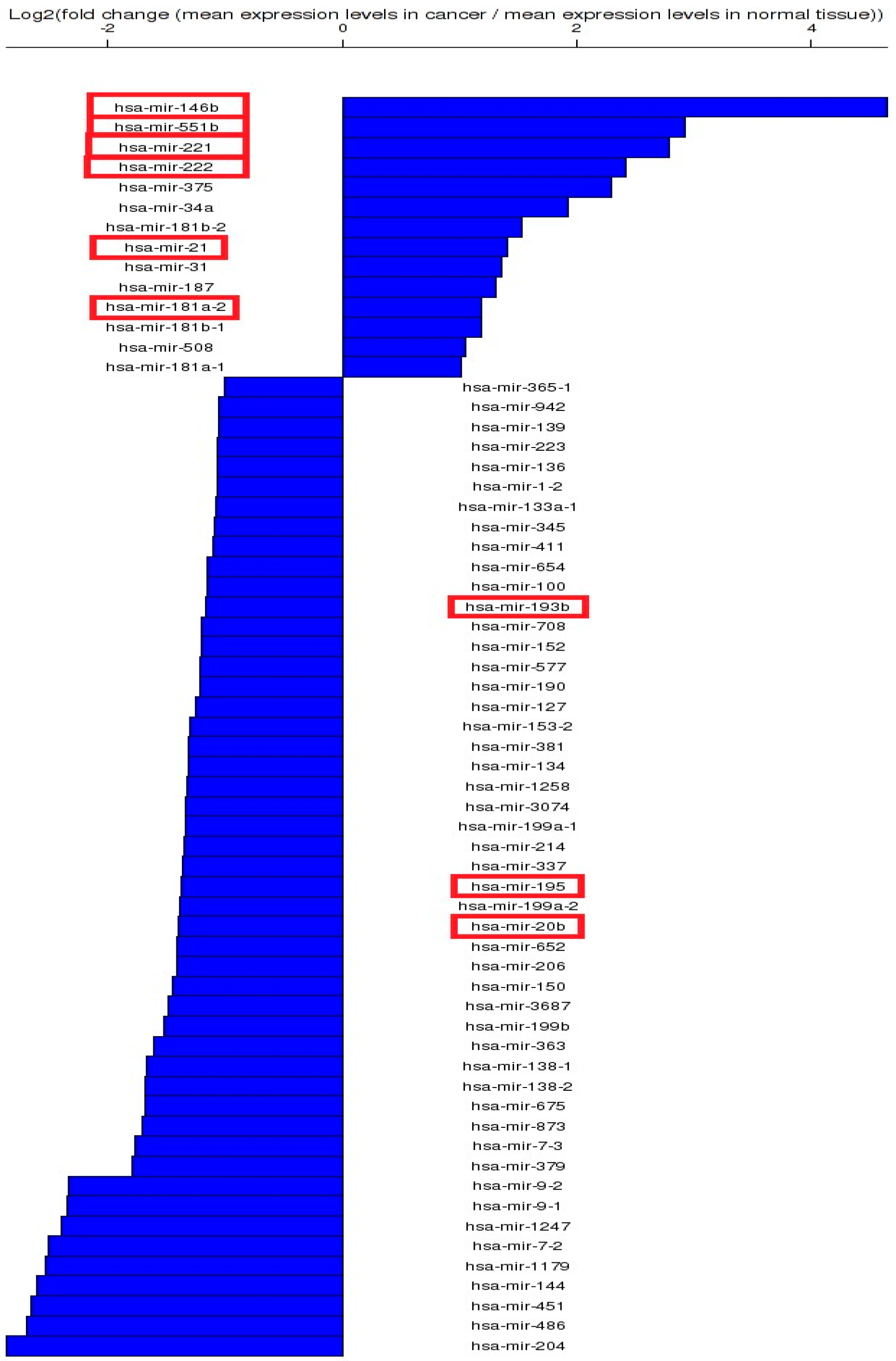 Biomedicines 12 00136 g001