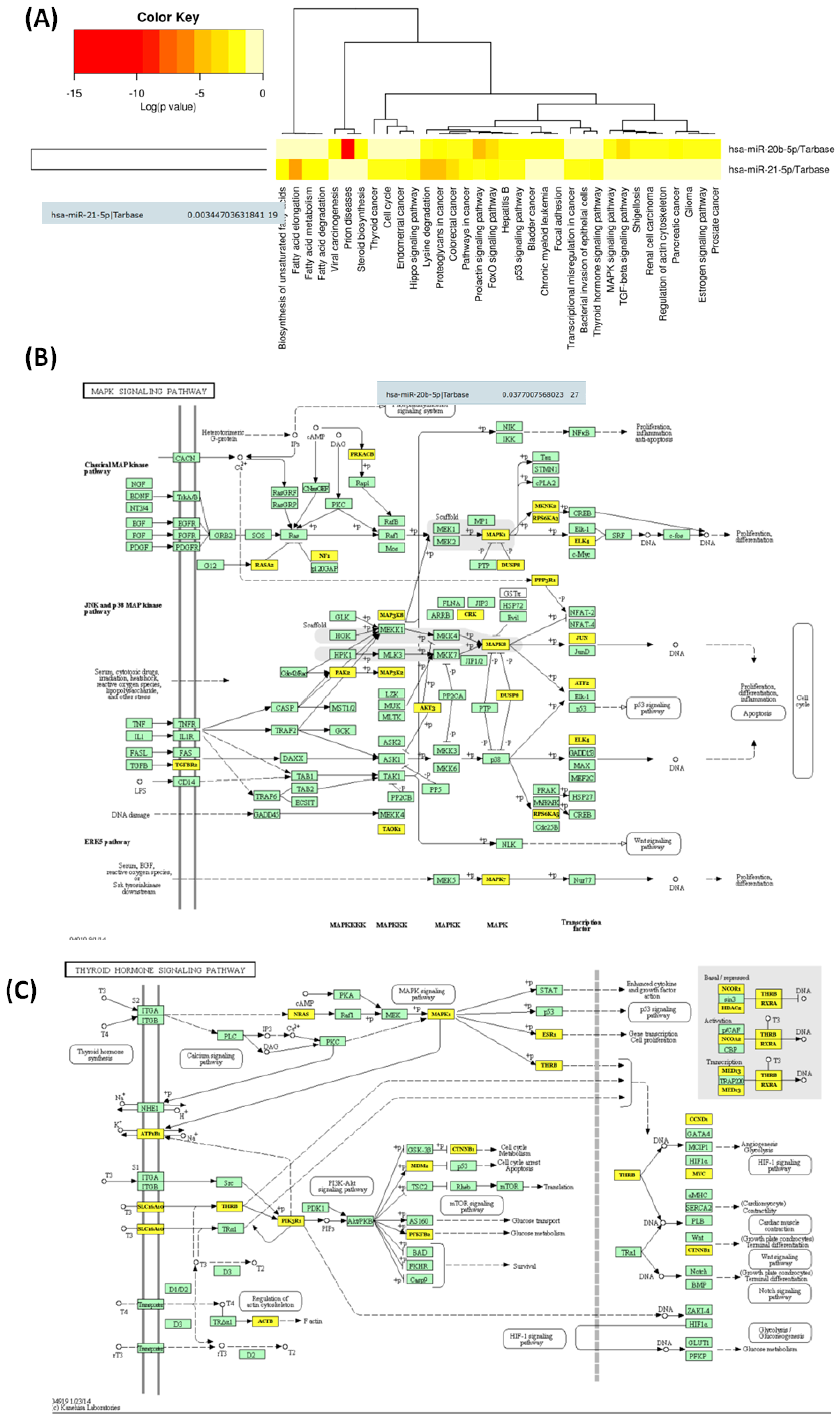 Biomedicines 12 00136 g008