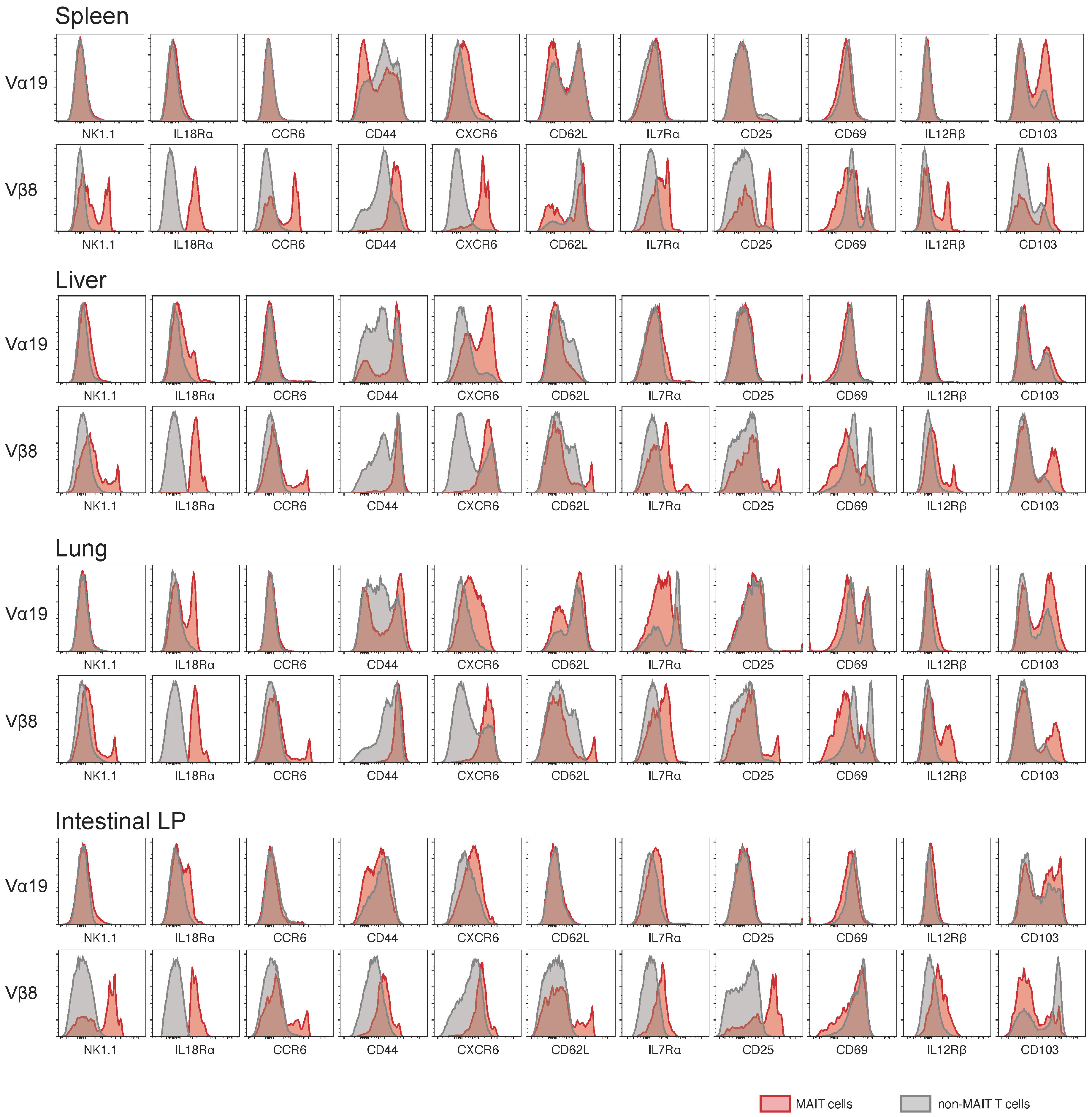 Biomedicines 12 00137 g003