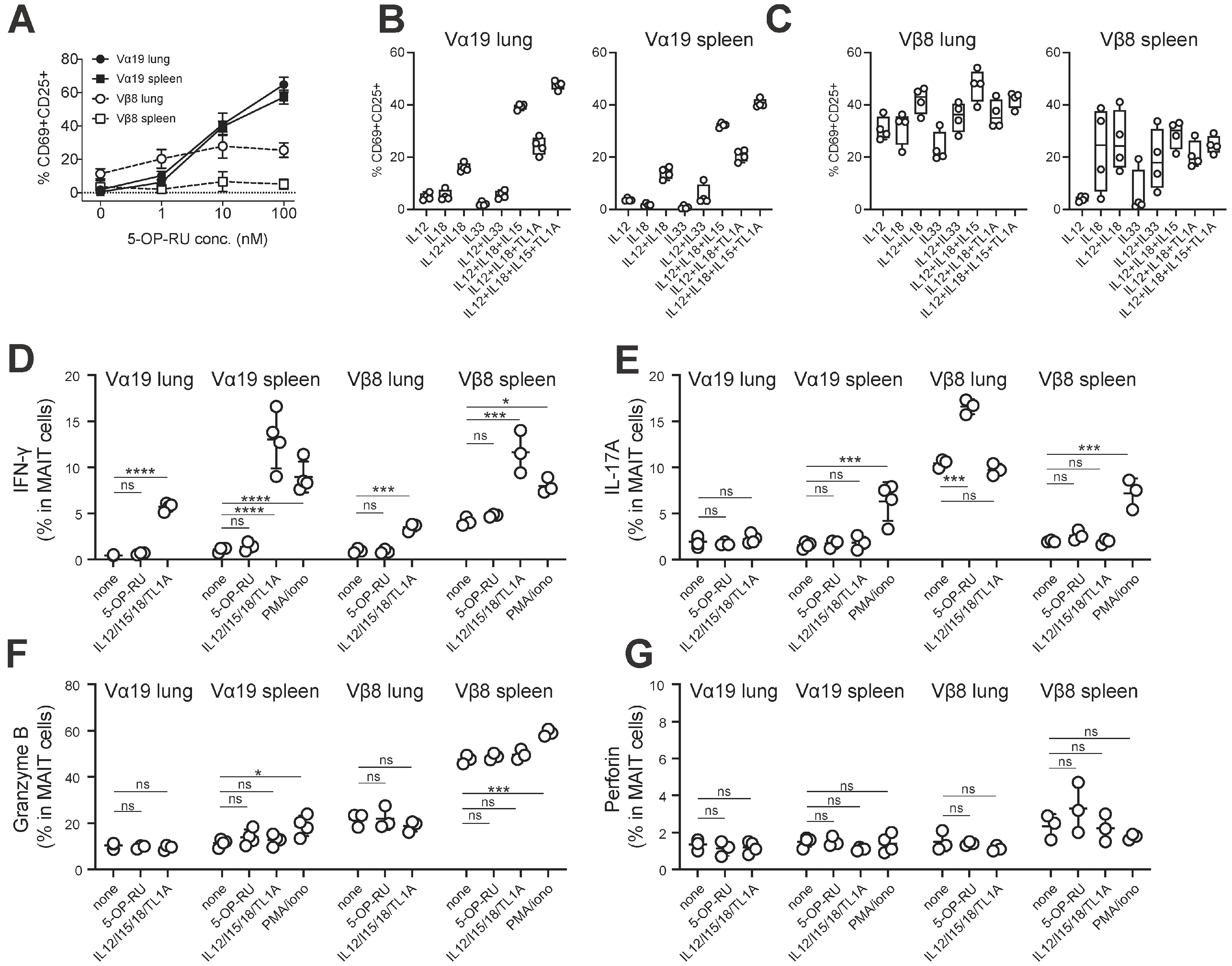 Biomedicines 12 00137 g005