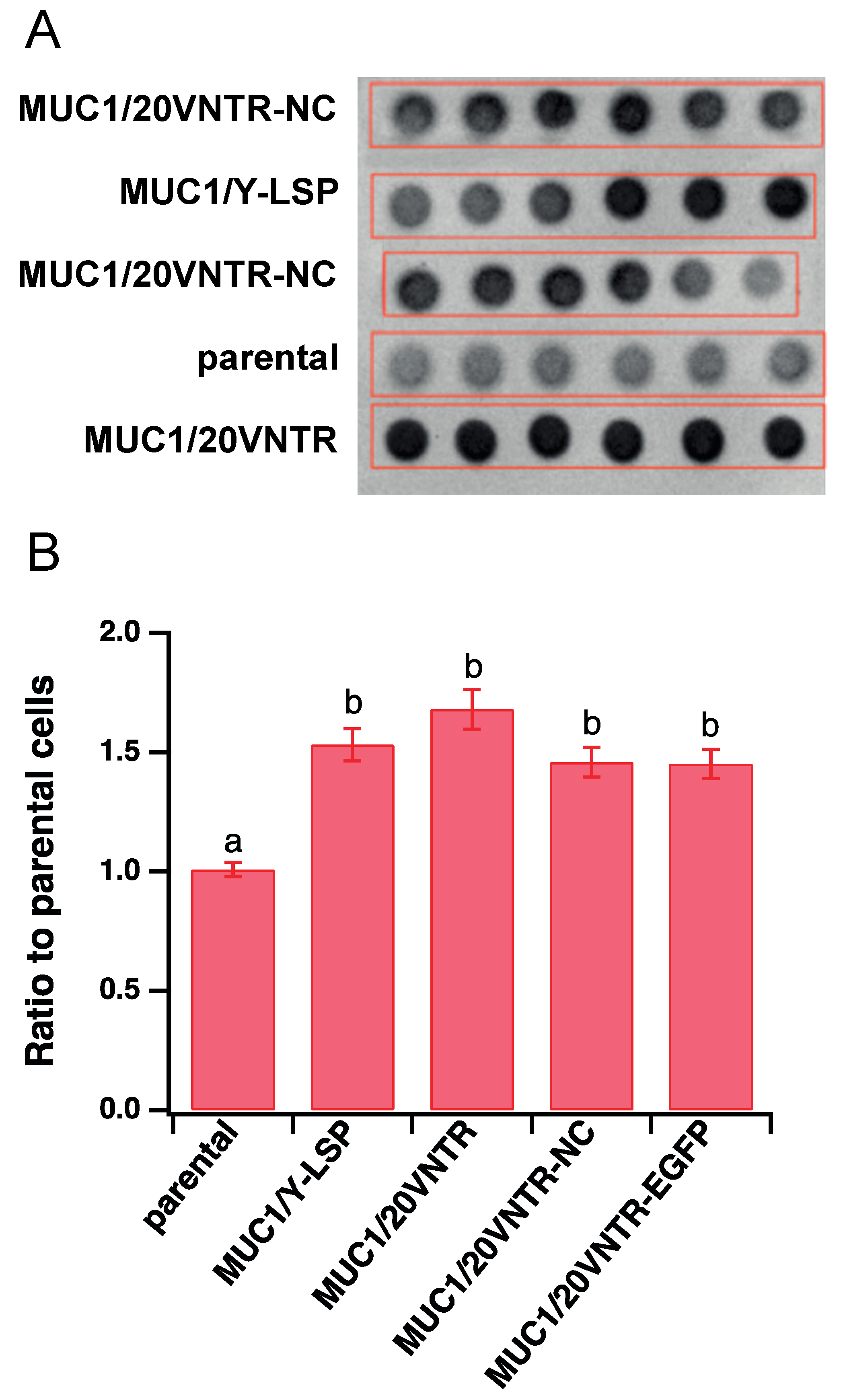 Biomedicines 12 00139 g002