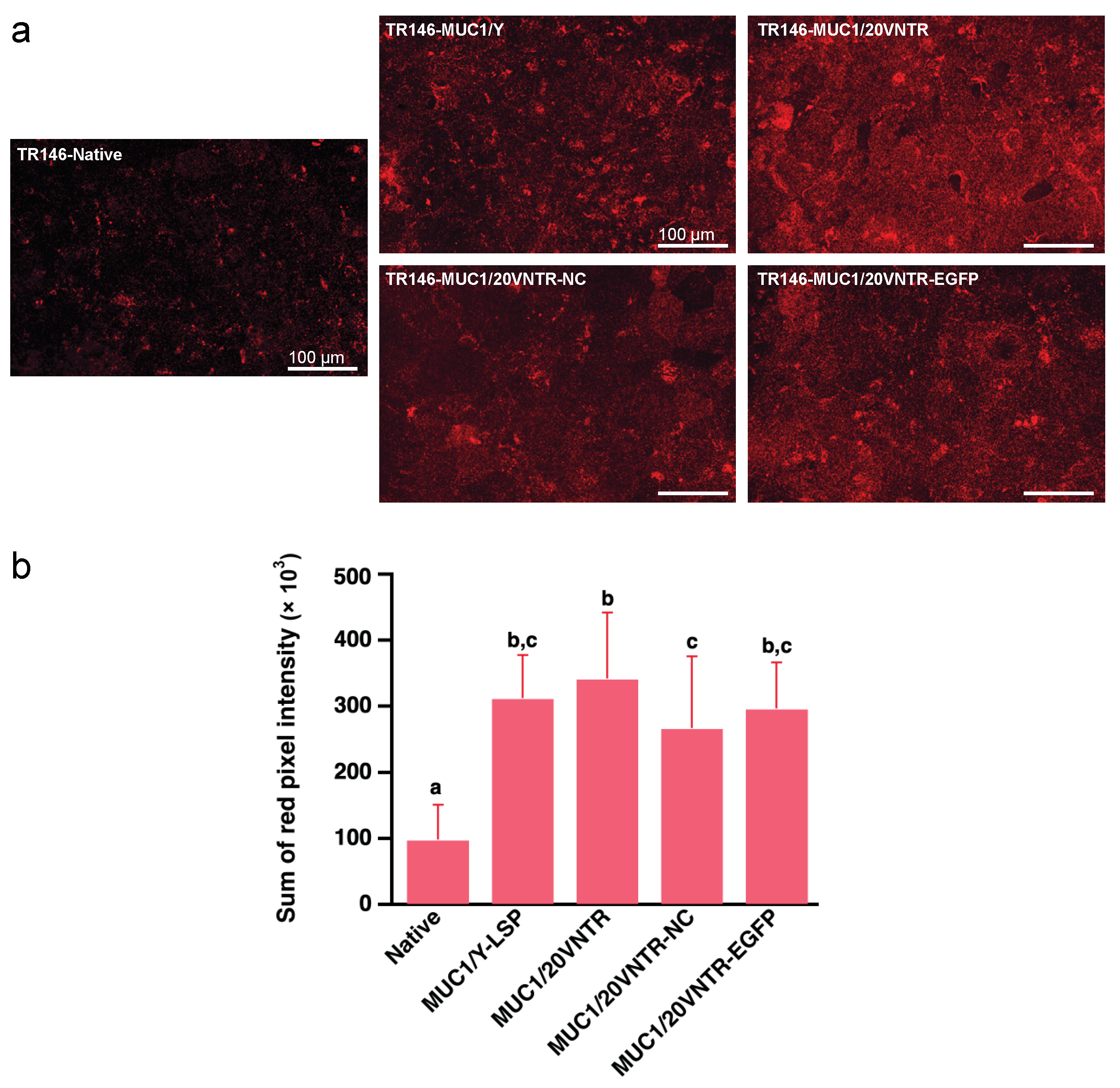 Biomedicines 12 00139 g004