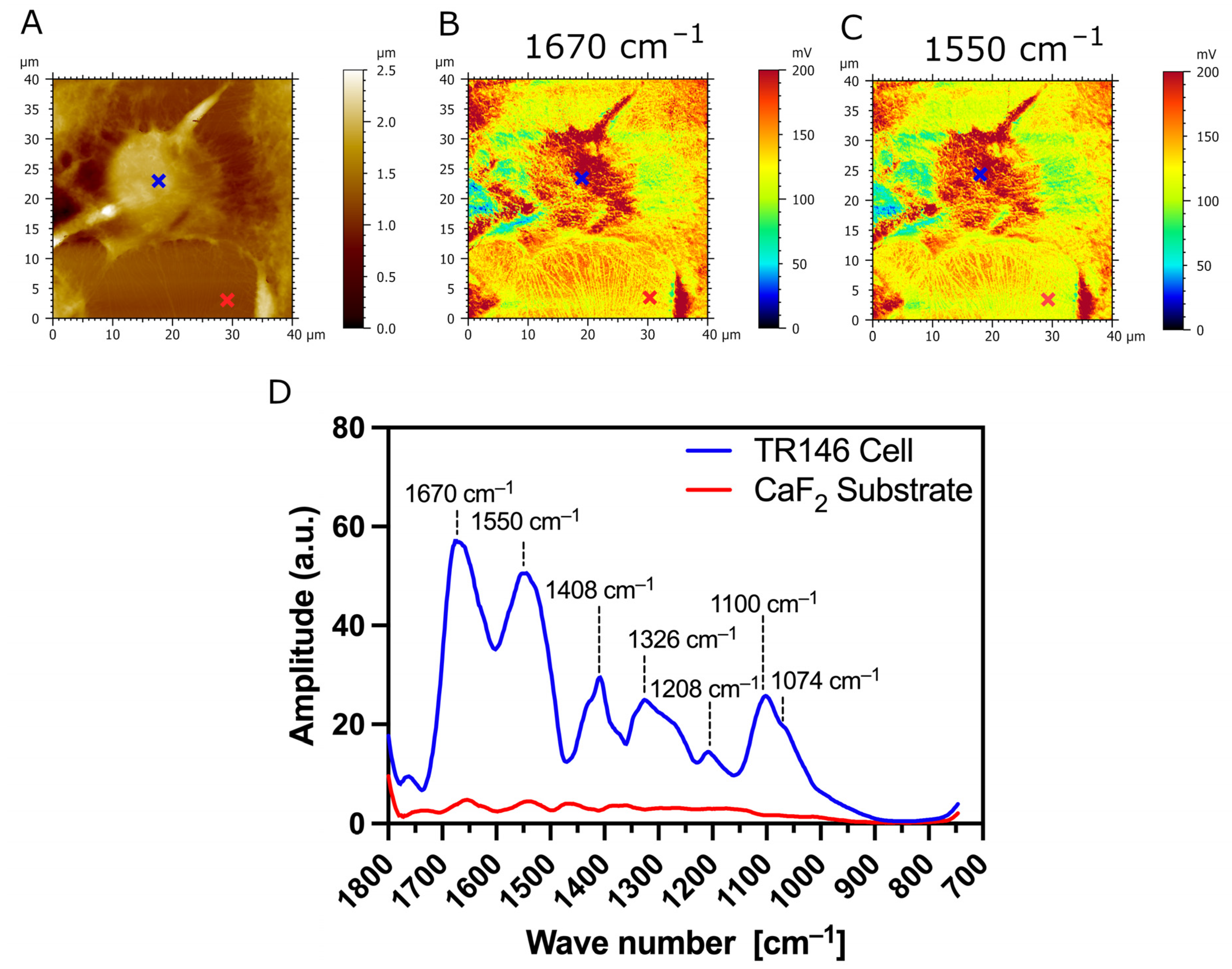 Biomedicines 12 00139 g006