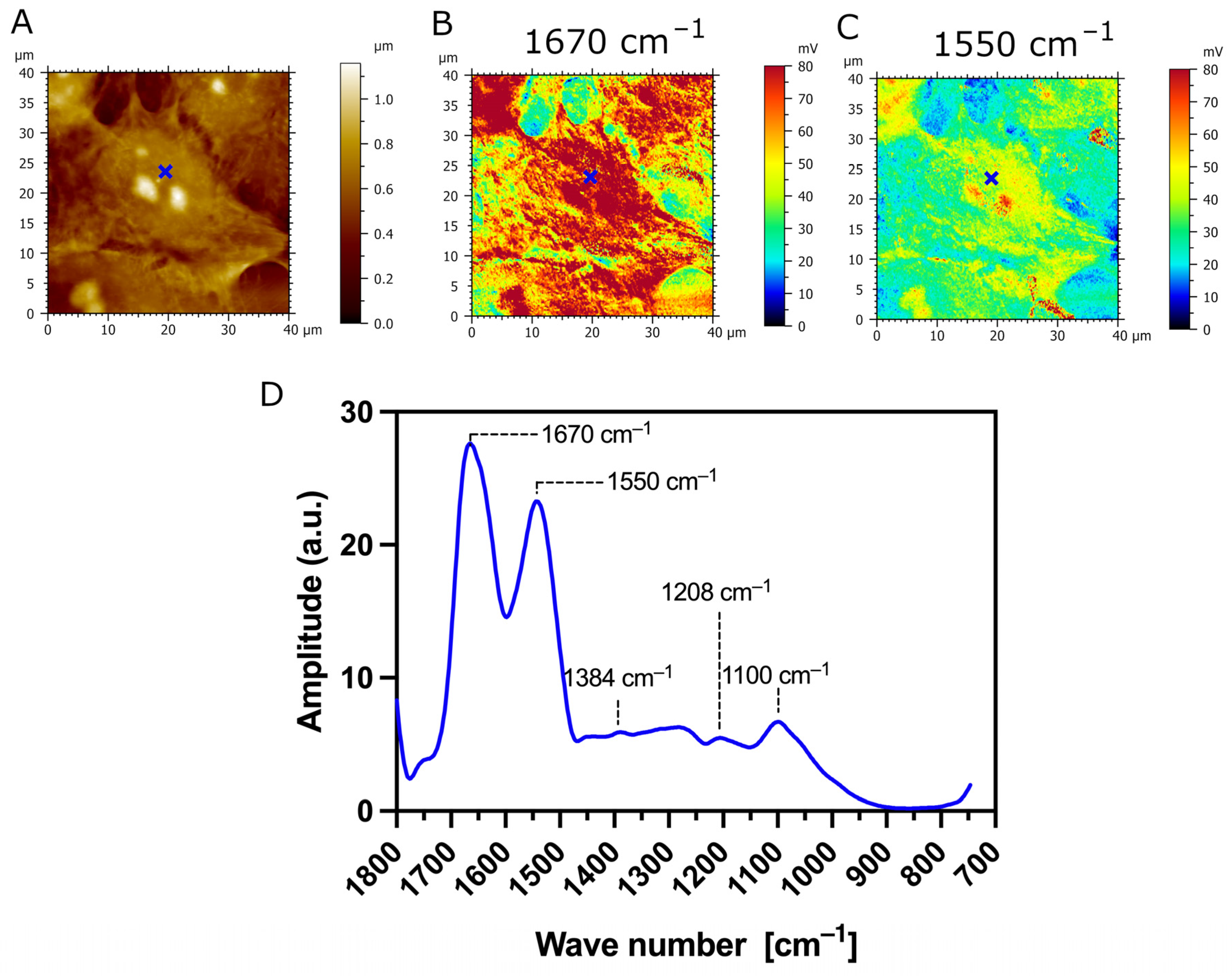 Biomedicines 12 00139 g007
