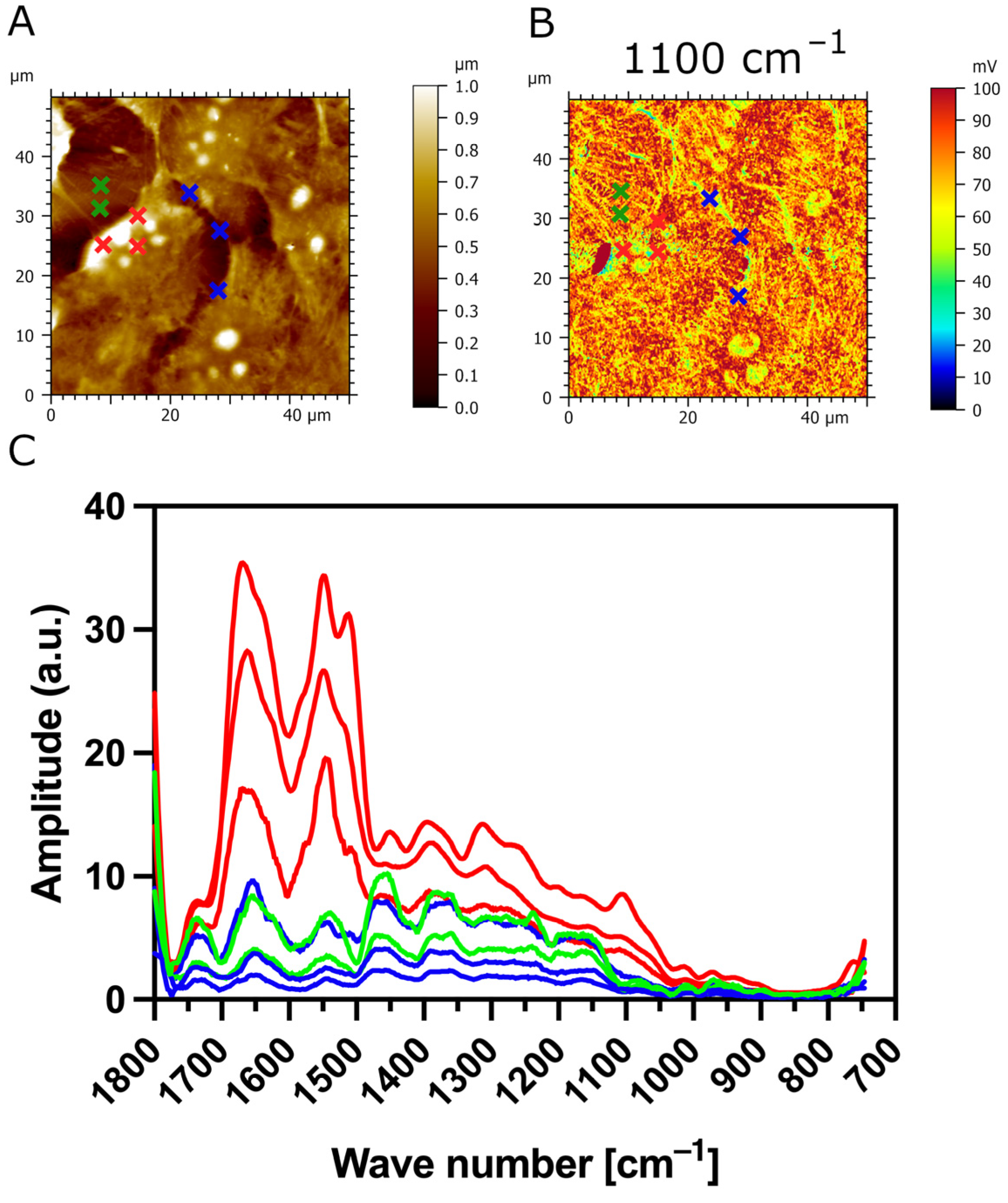 Biomedicines 12 00139 g008
