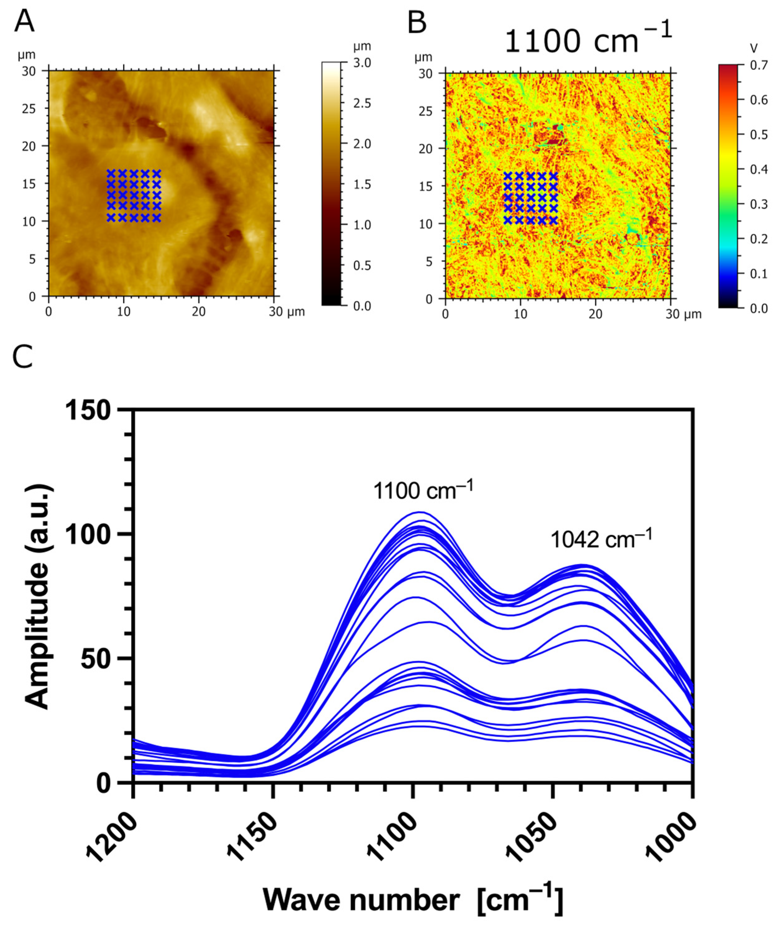 Biomedicines 12 00139 g009