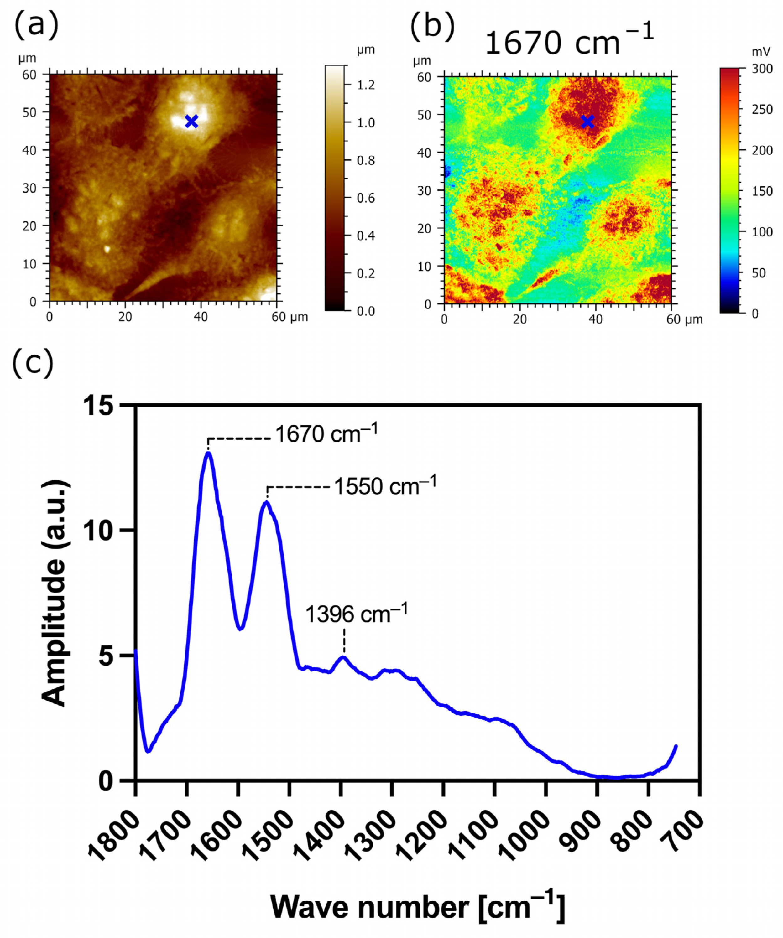 Biomedicines 12 00139 g010