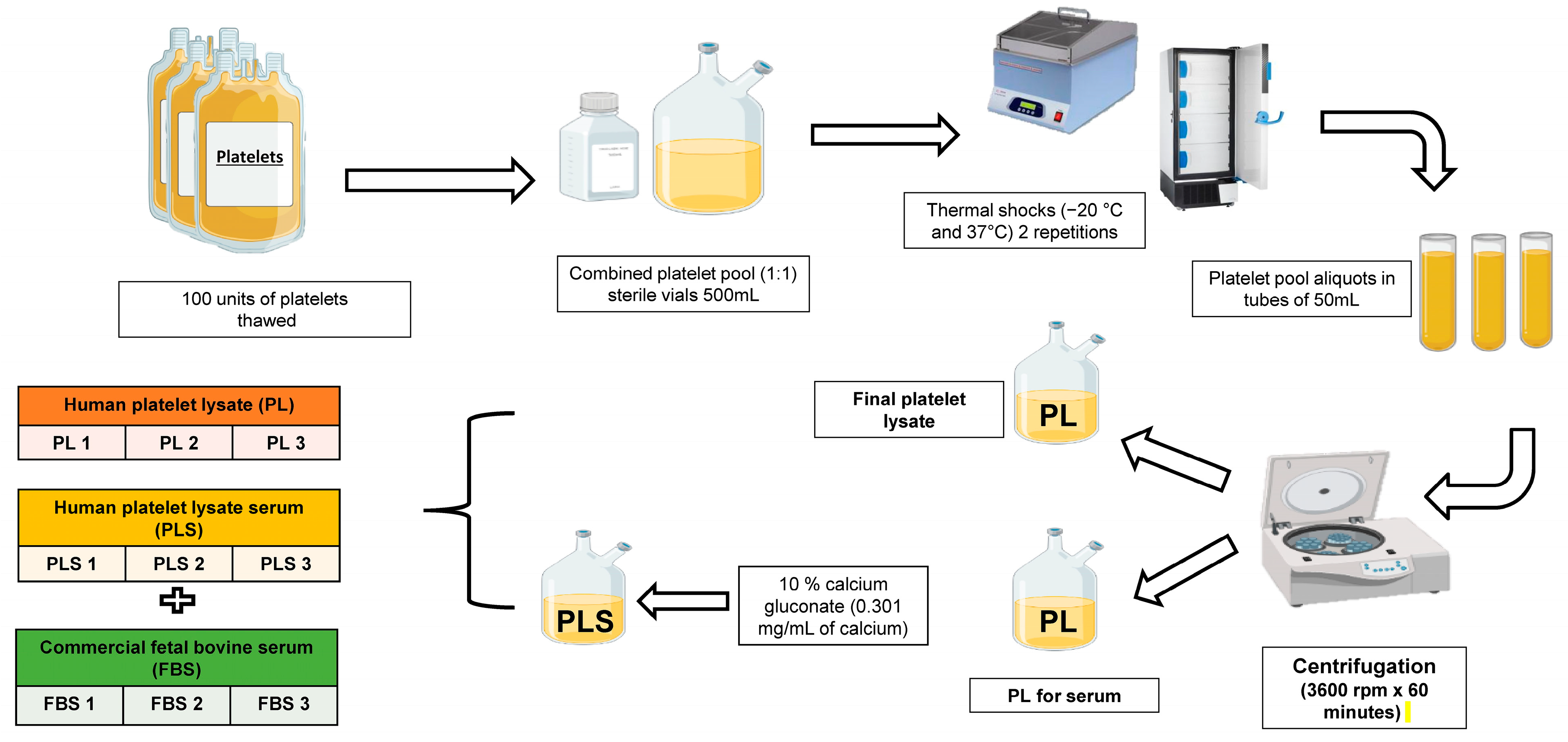 Biomedicines 12 00140 g001