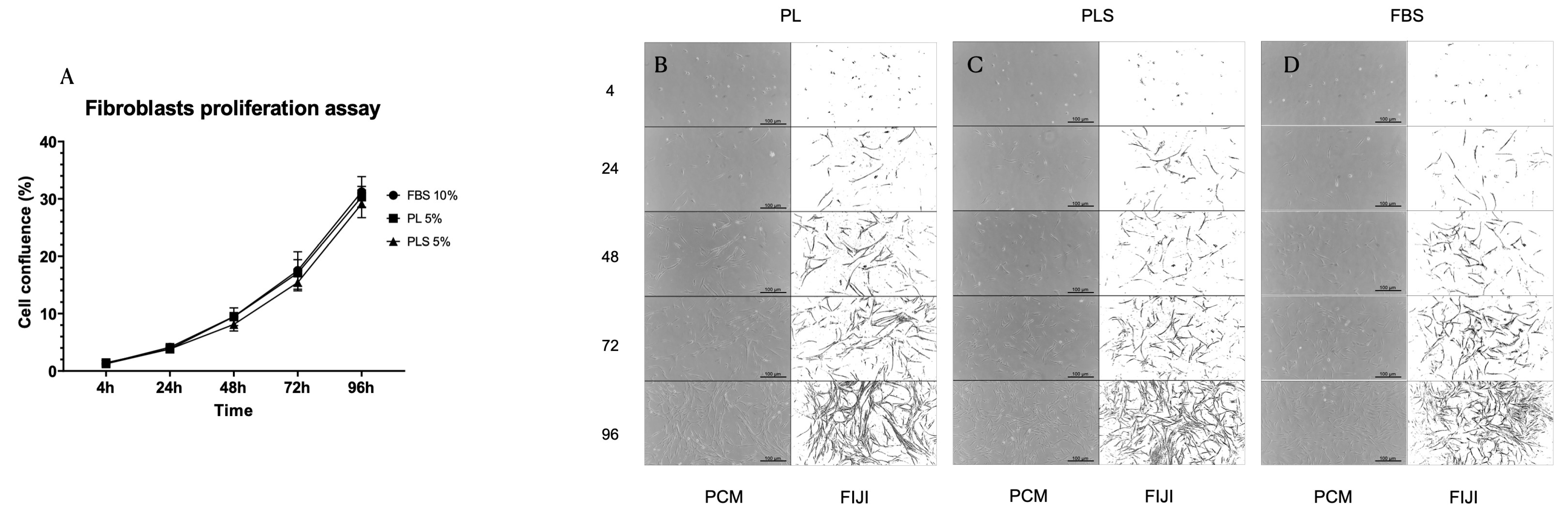 Biomedicines 12 00140 g004