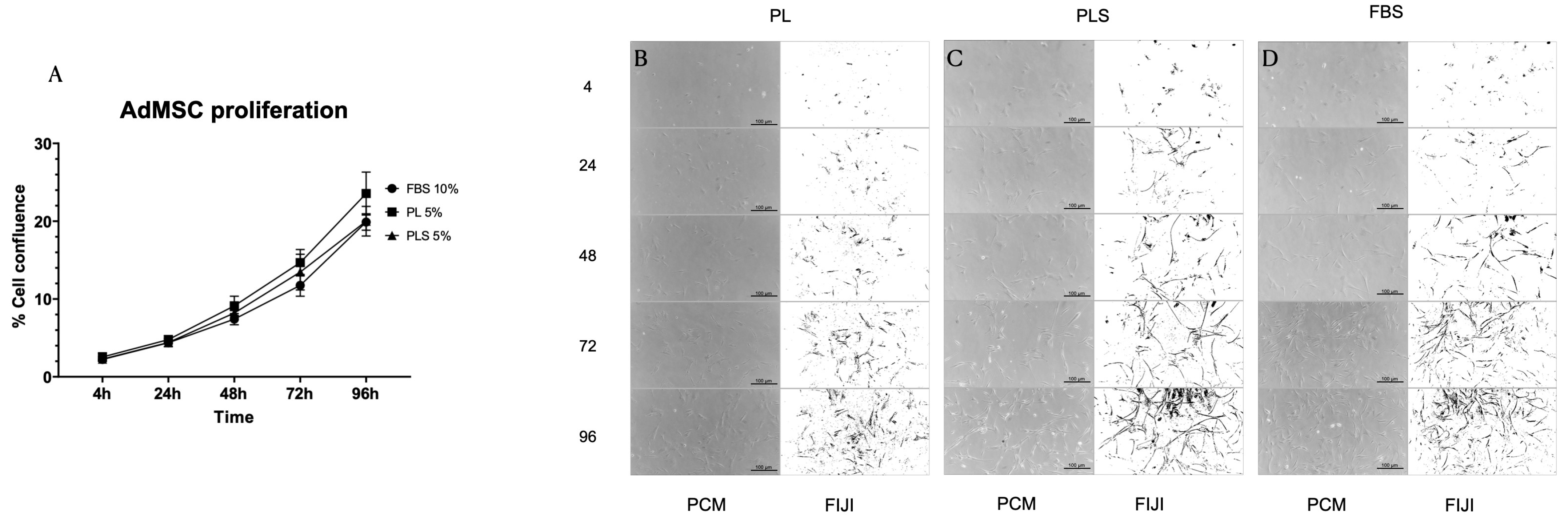Biomedicines 12 00140 g006