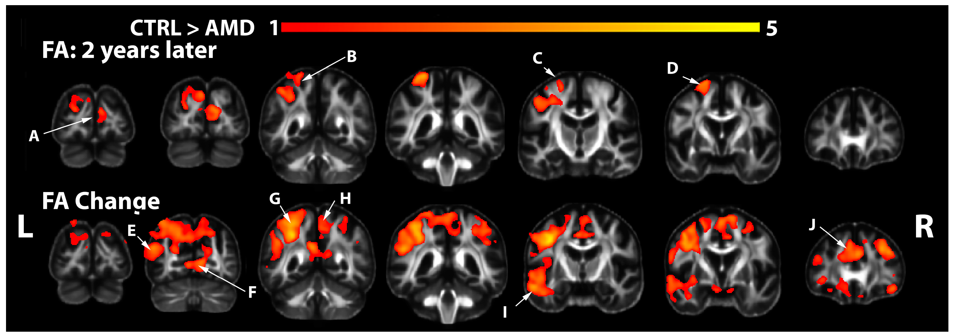 Biomedicines 12 00147 g002