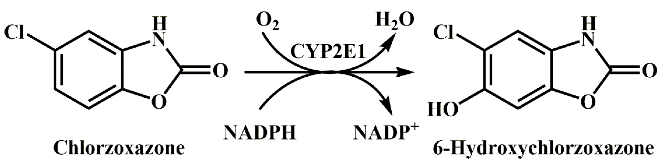 Biomedicines 12 00152 sch001