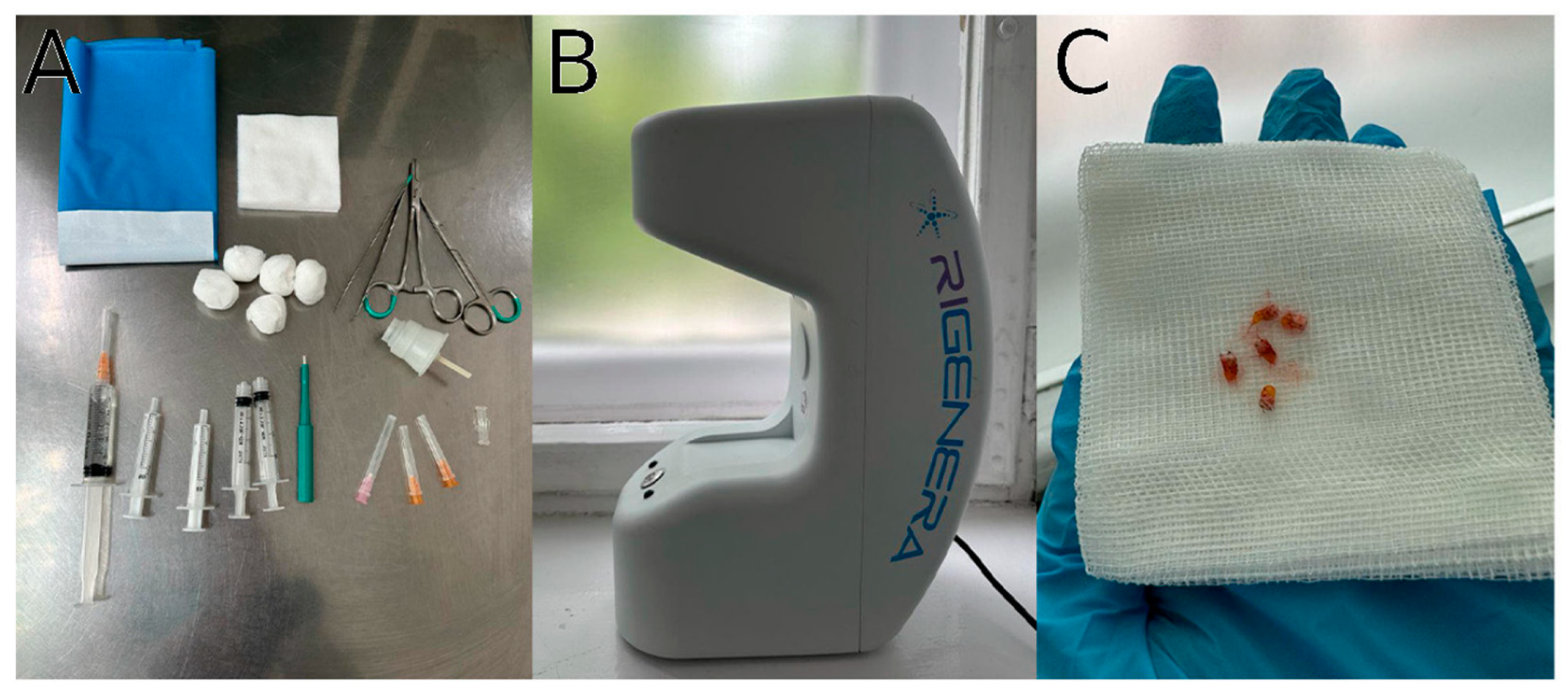 Biomedicines 12 00153 g001