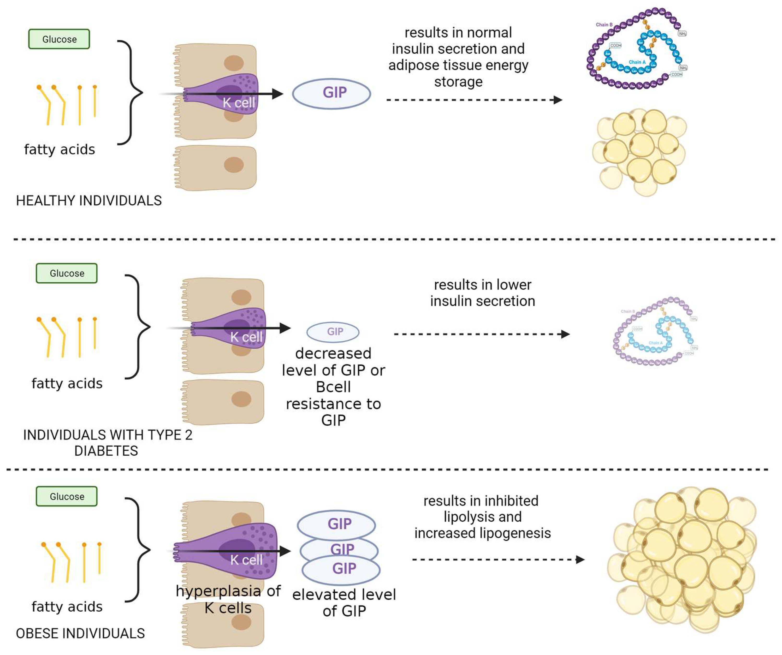 Biomedicines 12 00159 g002