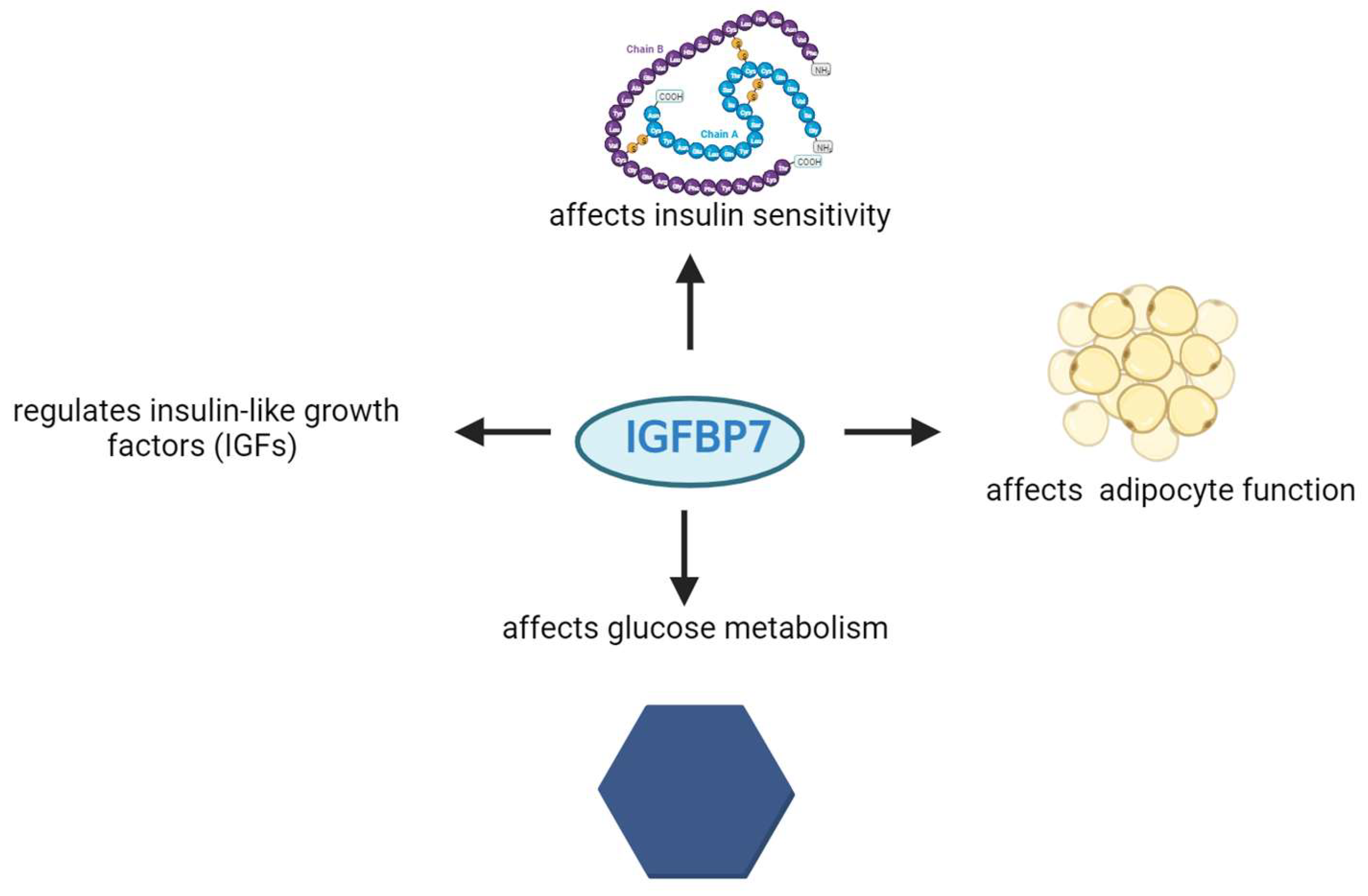 Biomedicines 12 00159 g004