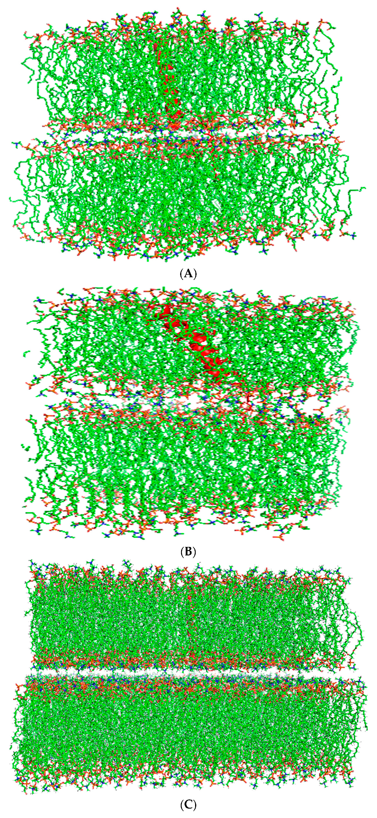 Biomedicines 12 00163 g003a Biomedicines 12 00163 g003a