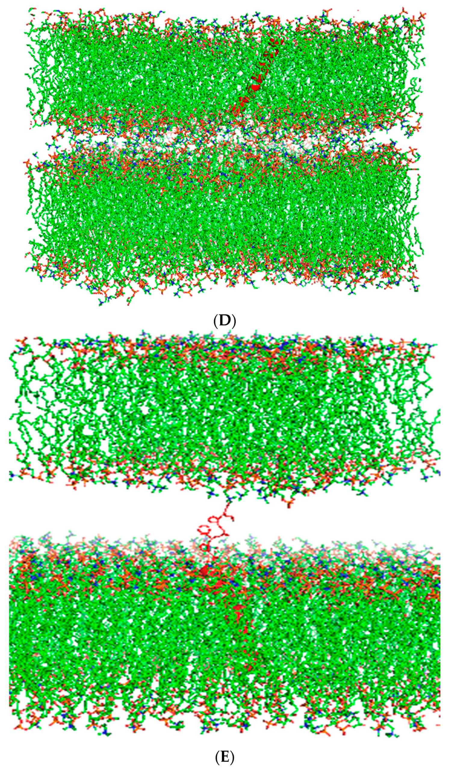 Biomedicines 12 00163 g003b Biomedicines 12 00163 g003b
