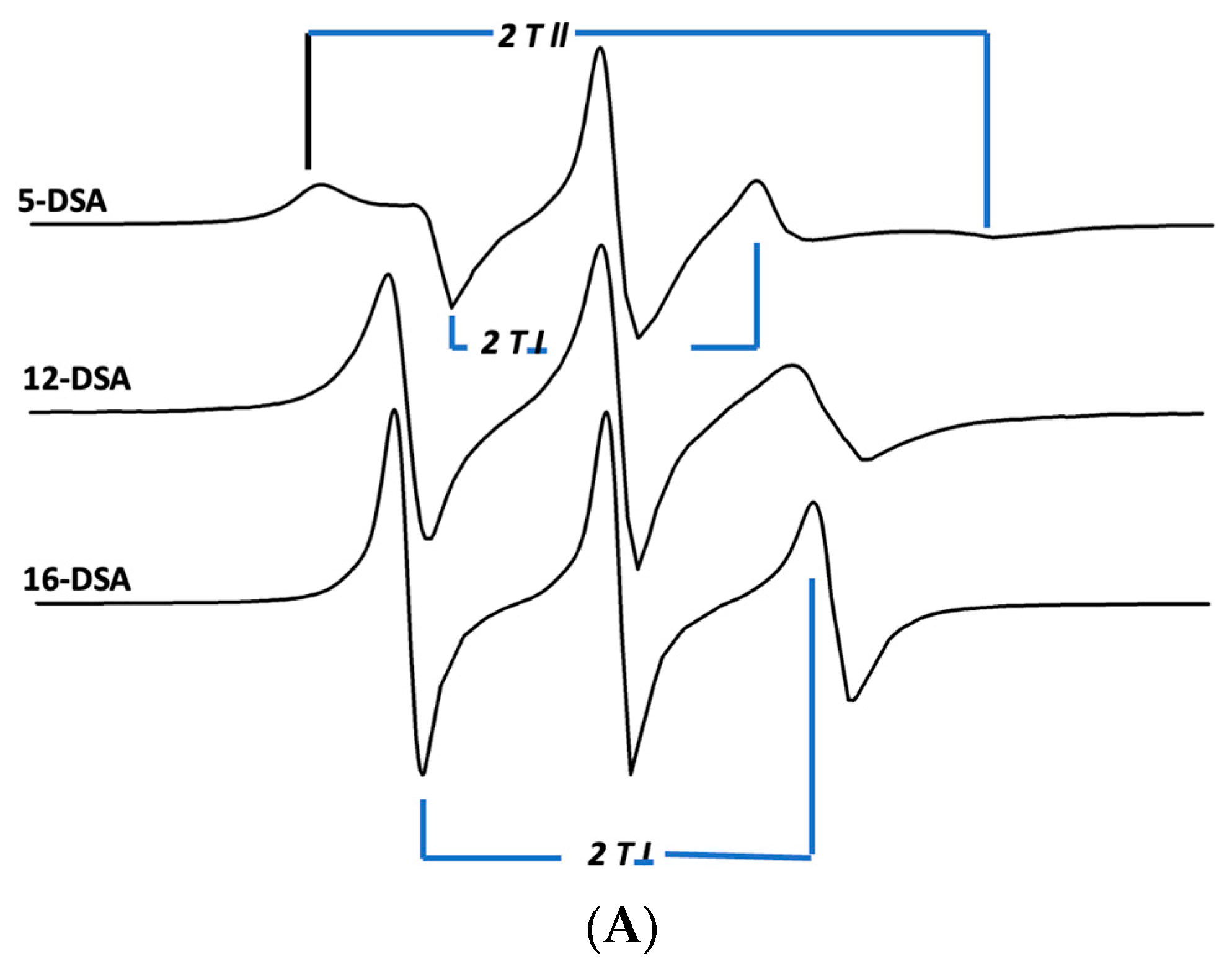 Biomedicines 12 00163 g007a Biomedicines 12 00163 g007a