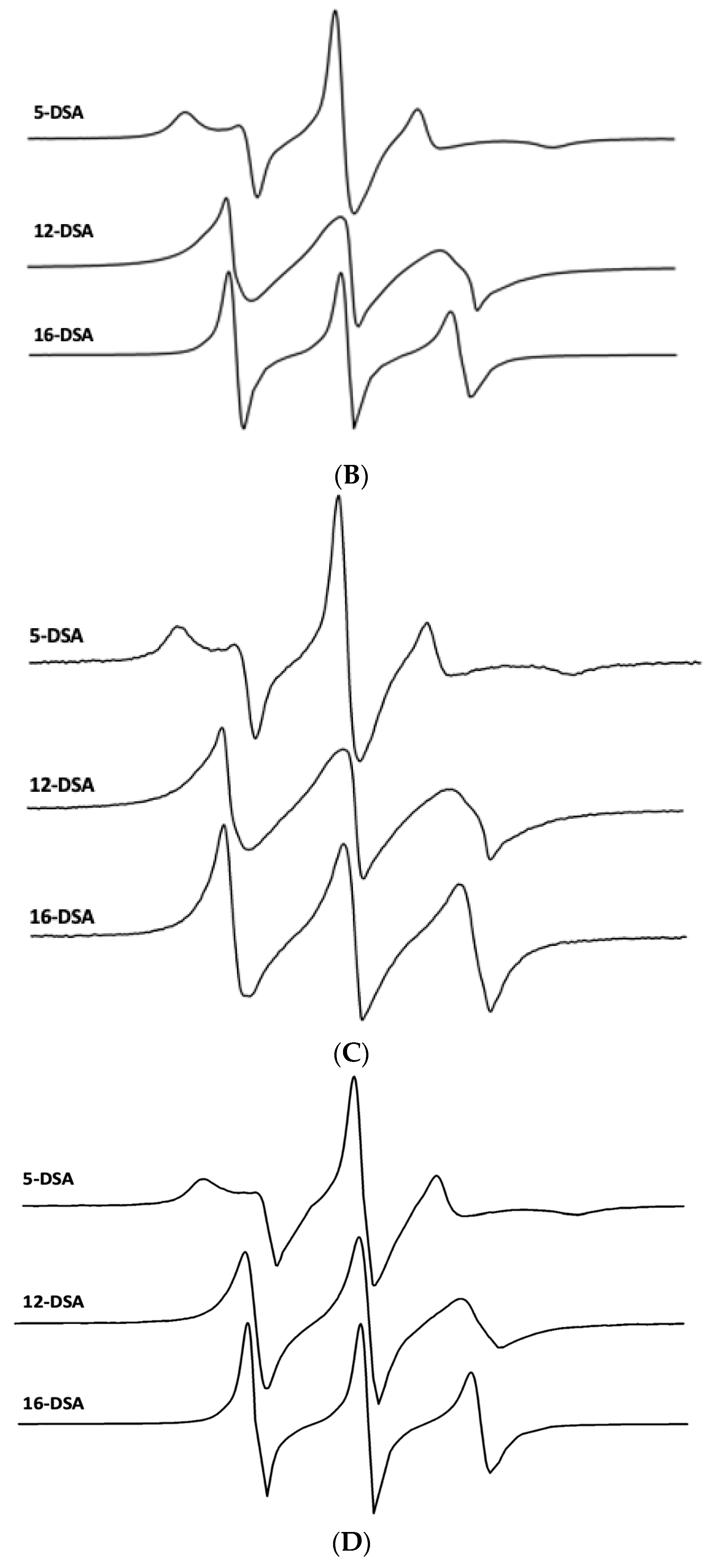Biomedicines 12 00163 g007b Biomedicines 12 00163 g007b