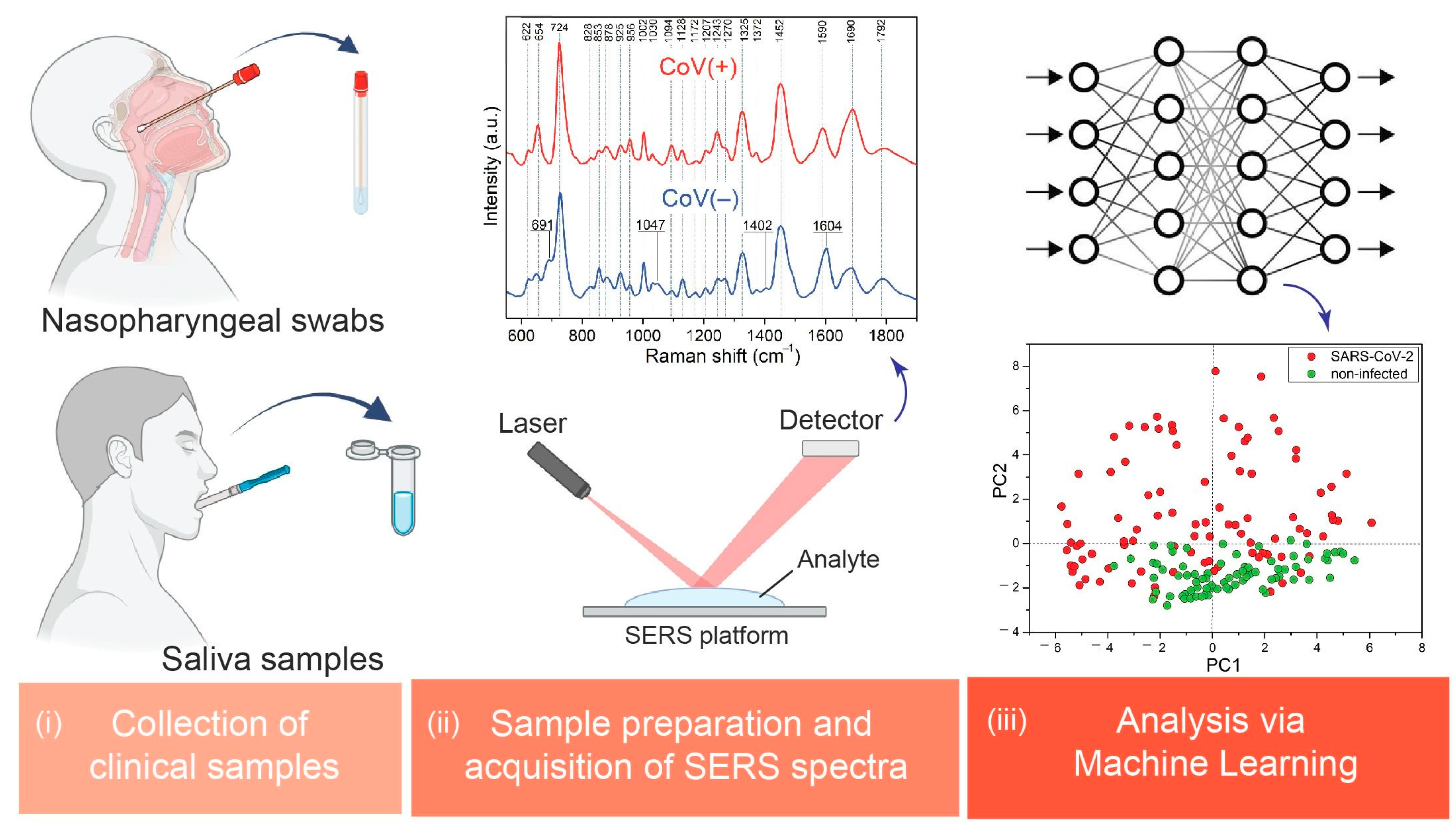 Biomedicines 12 00167 g001
