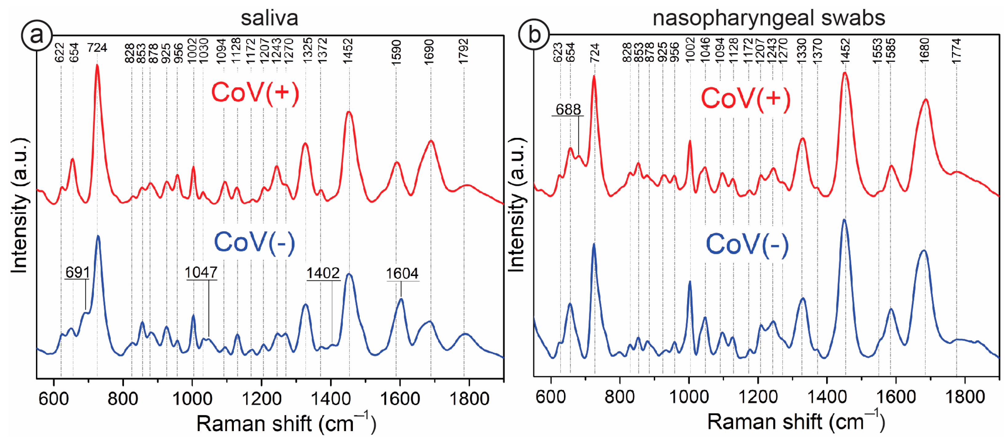 Biomedicines 12 00167 g002