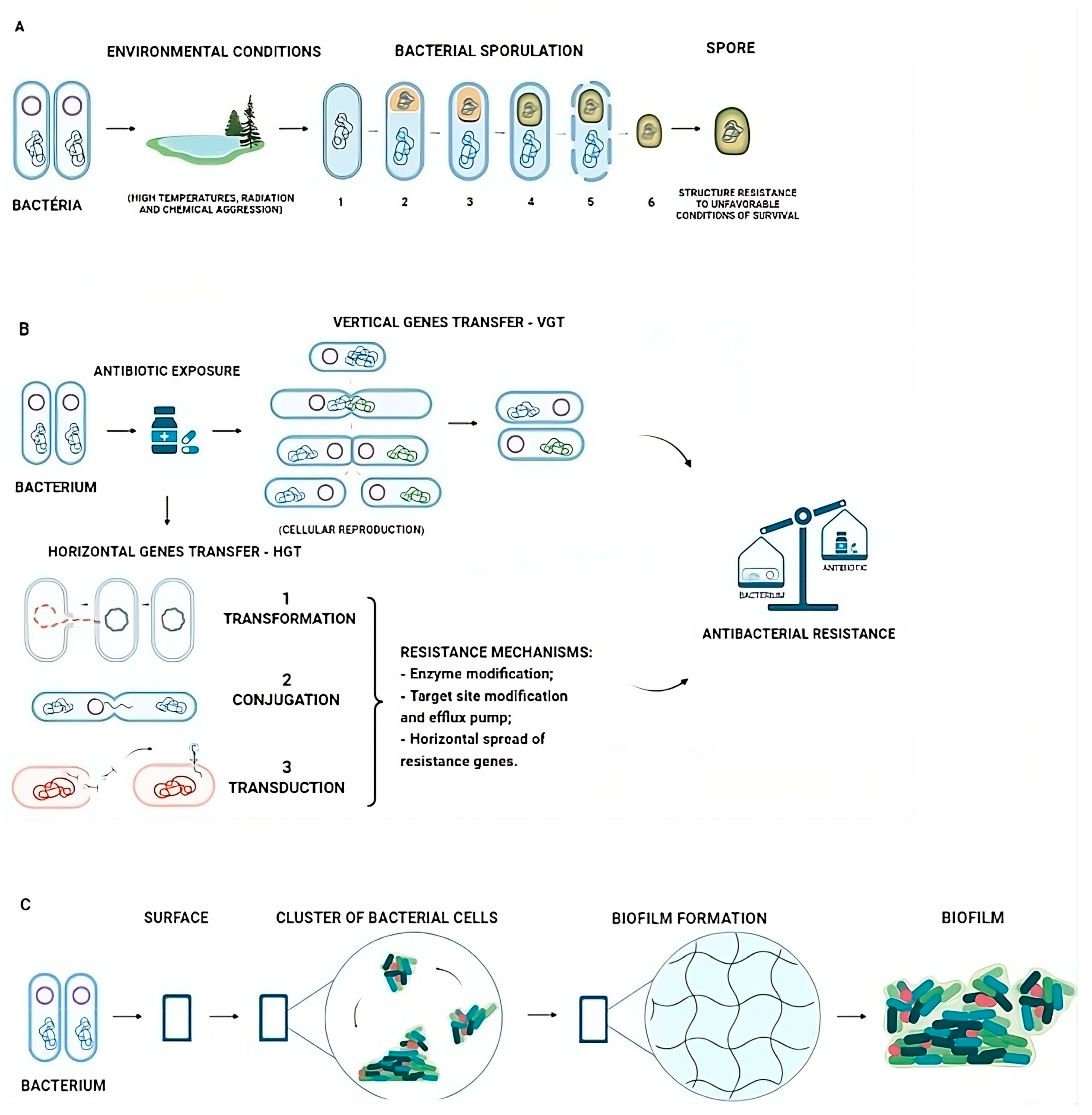 Biomedicines 12 00176 g001 Biomedicines 12 00176 g001