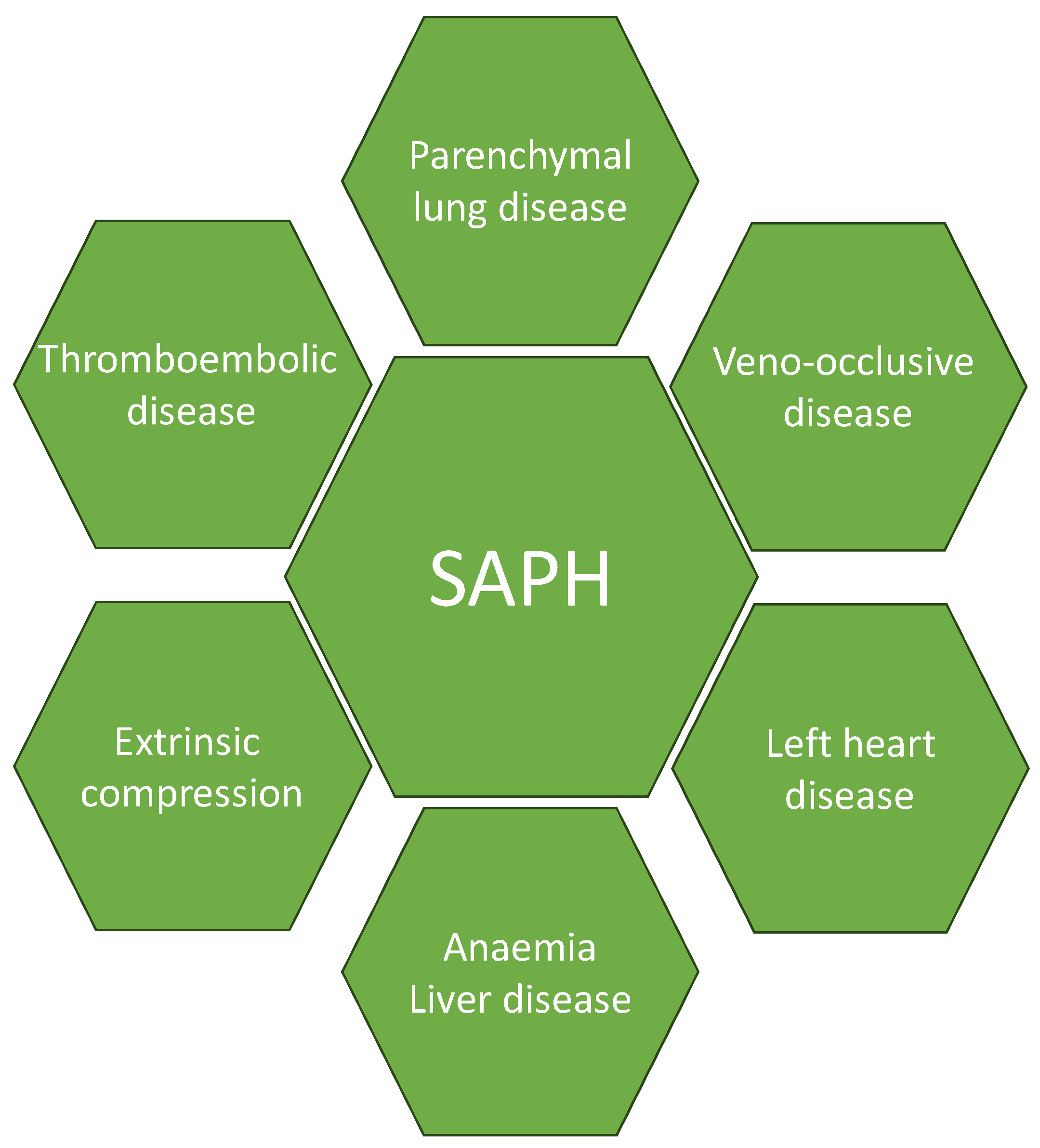 Biomedicines 12 00177 g002