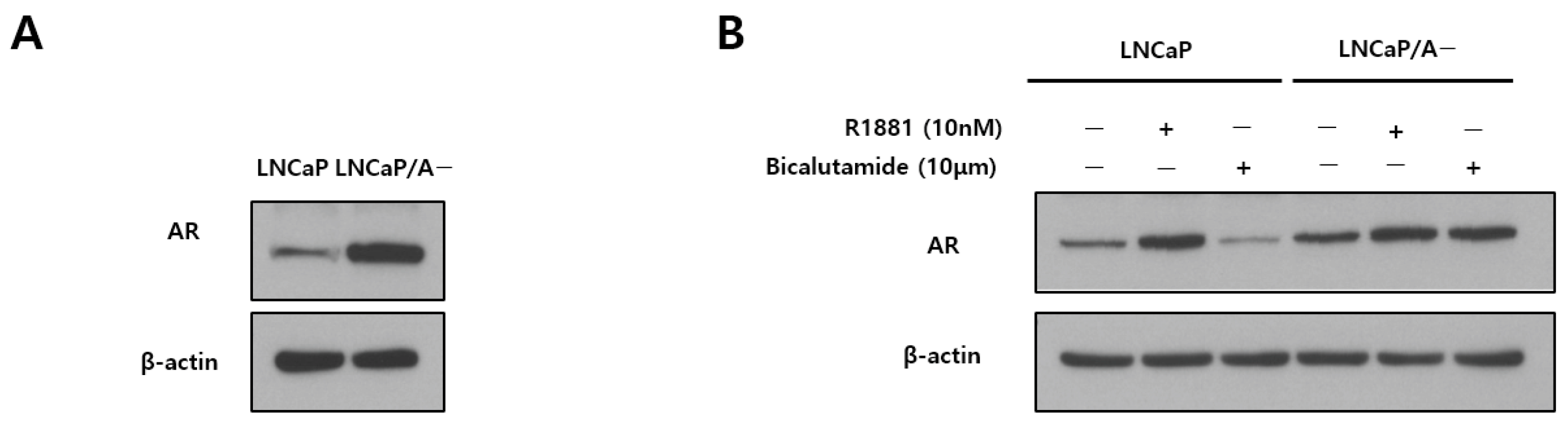 Biomedicines 12 00181 g001