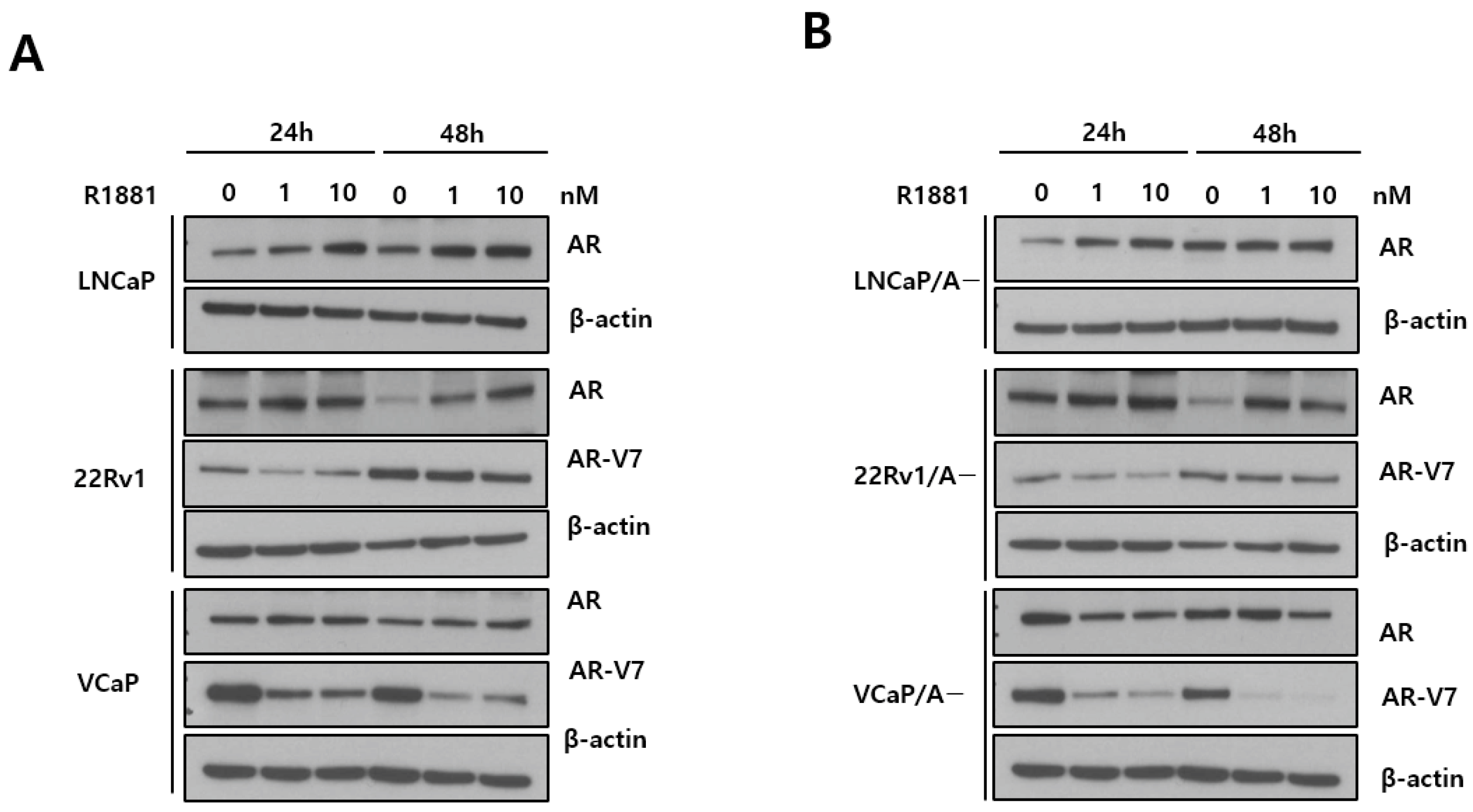 Biomedicines 12 00181 g002
