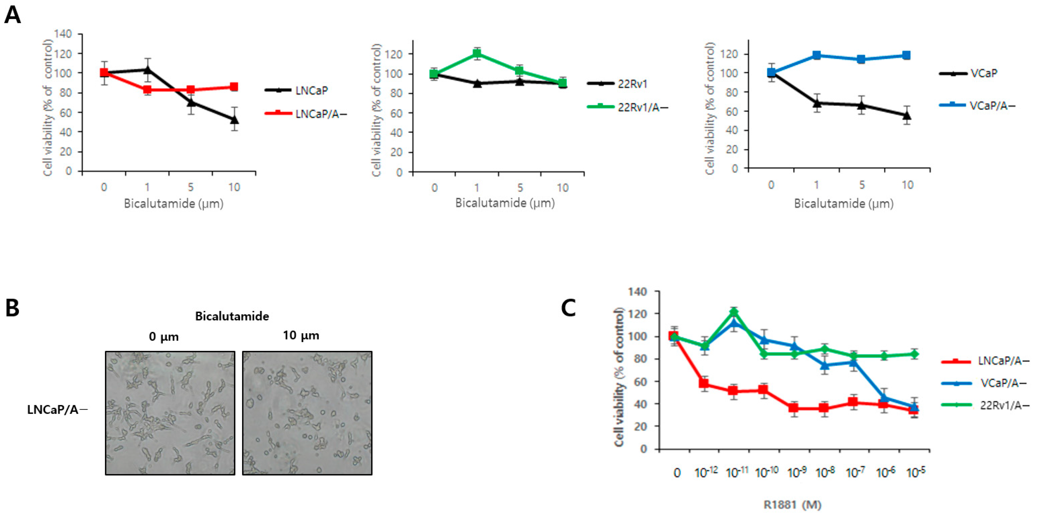 Biomedicines 12 00181 g003