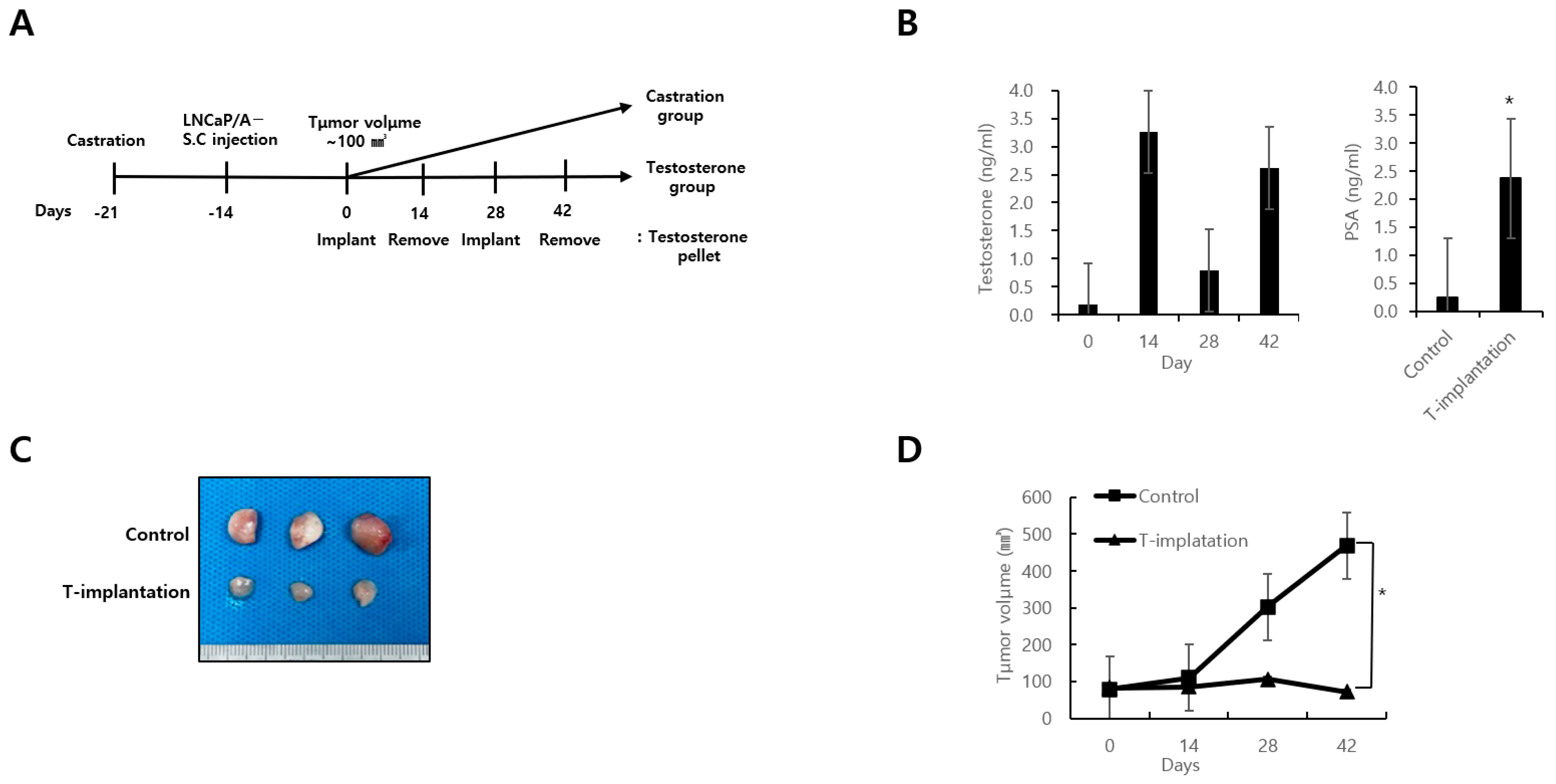 Biomedicines 12 00181 g004