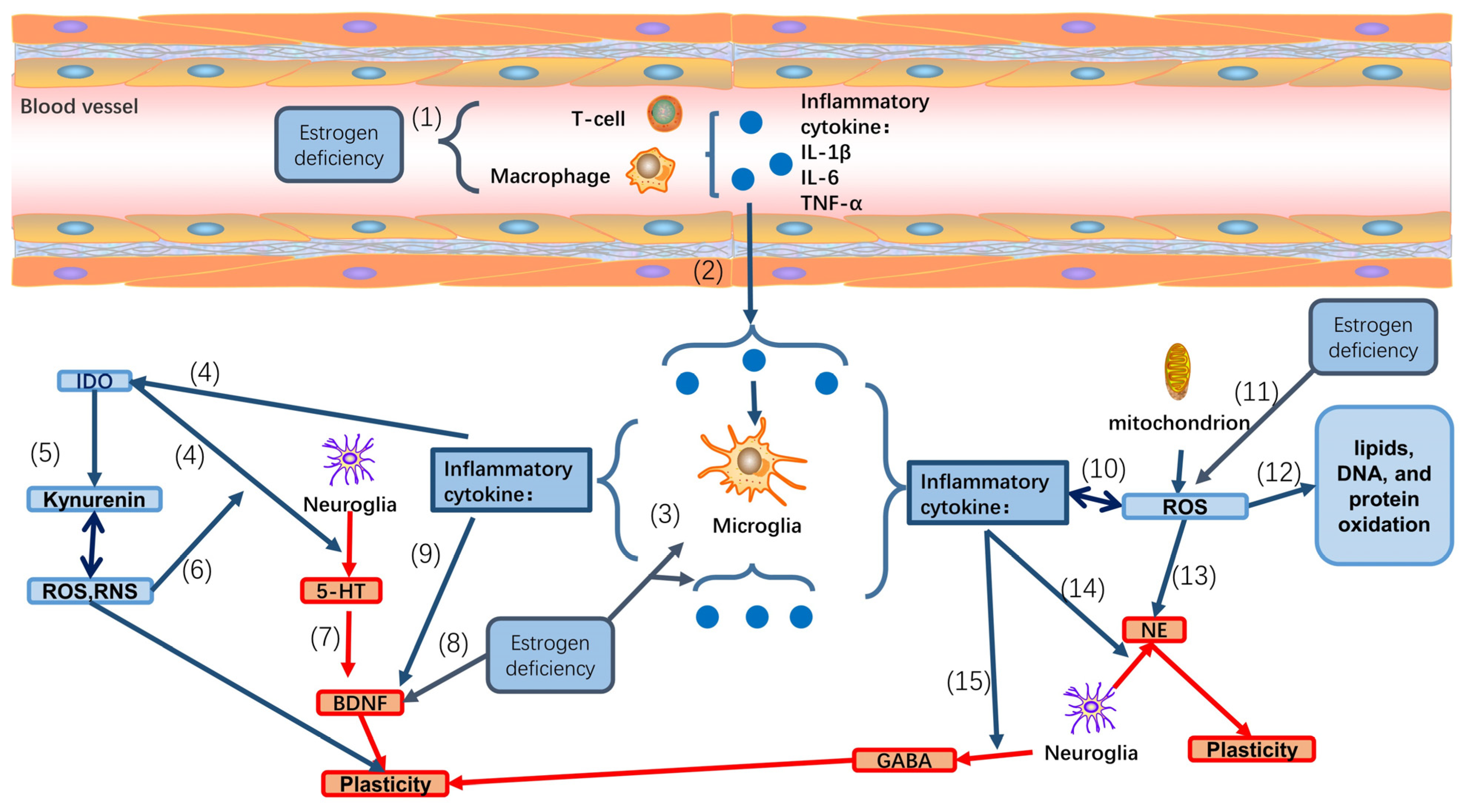 Biomedicines 12 00184 g002