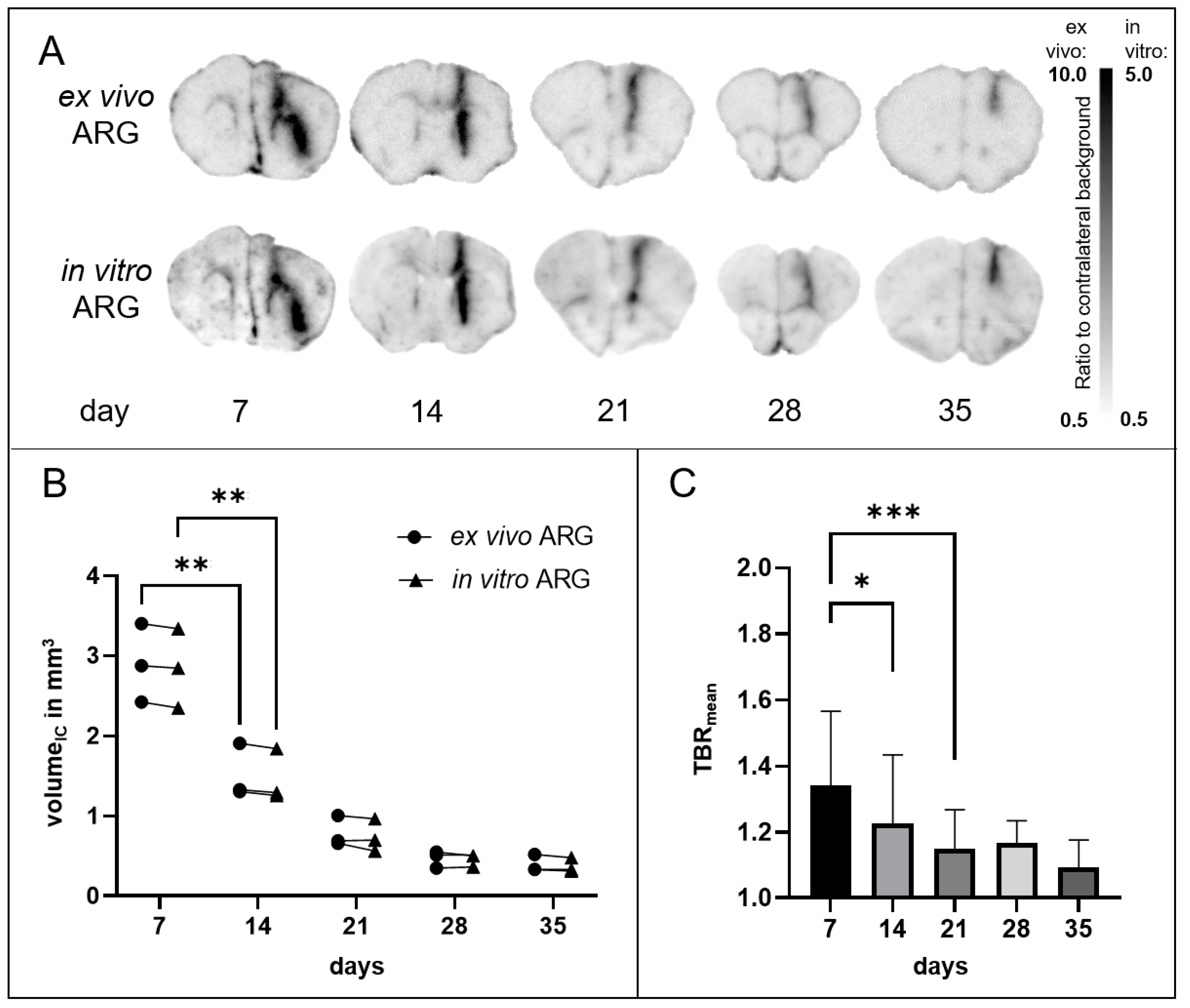 Biomedicines 12 00188 g003