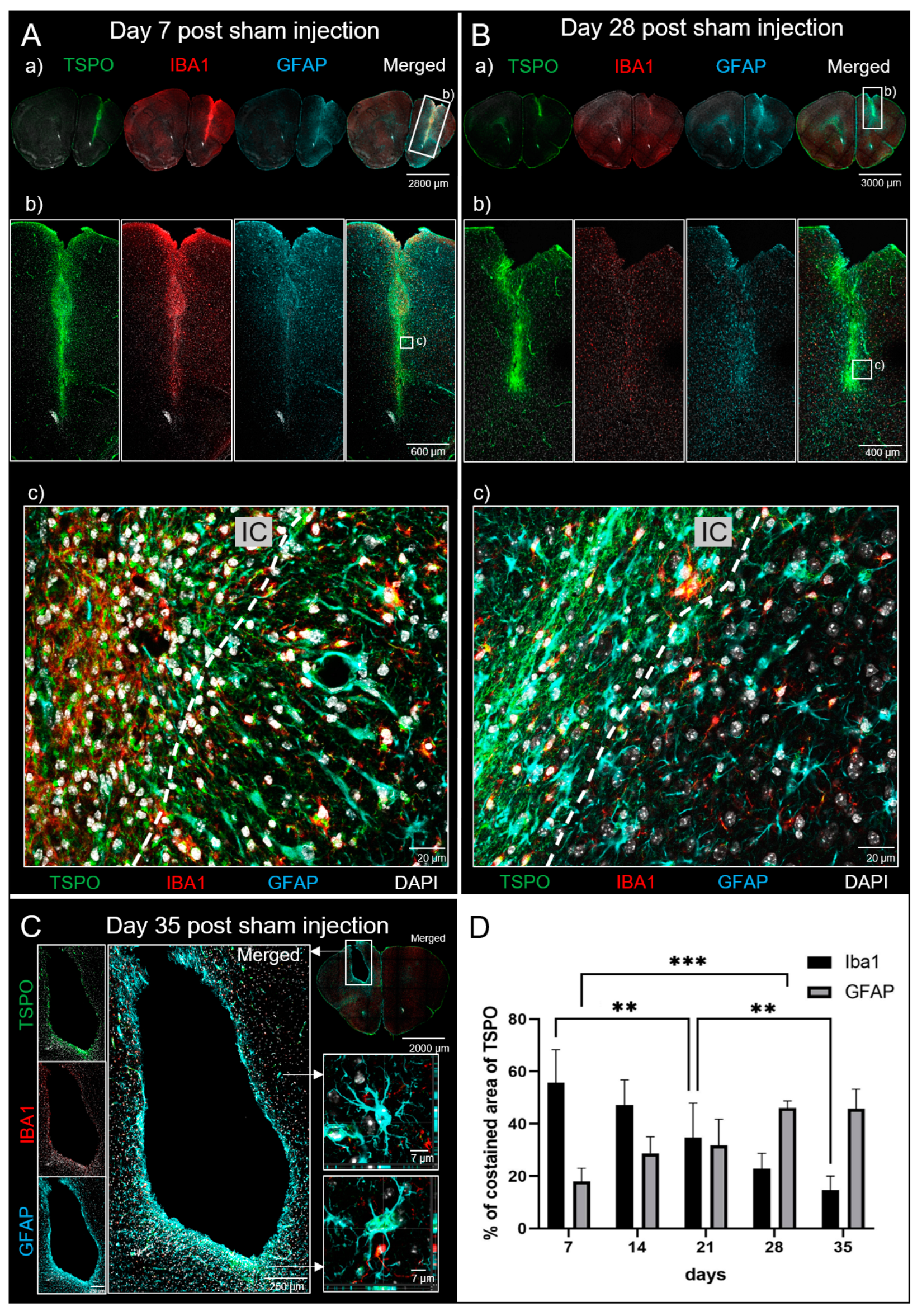 Biomedicines 12 00188 g004