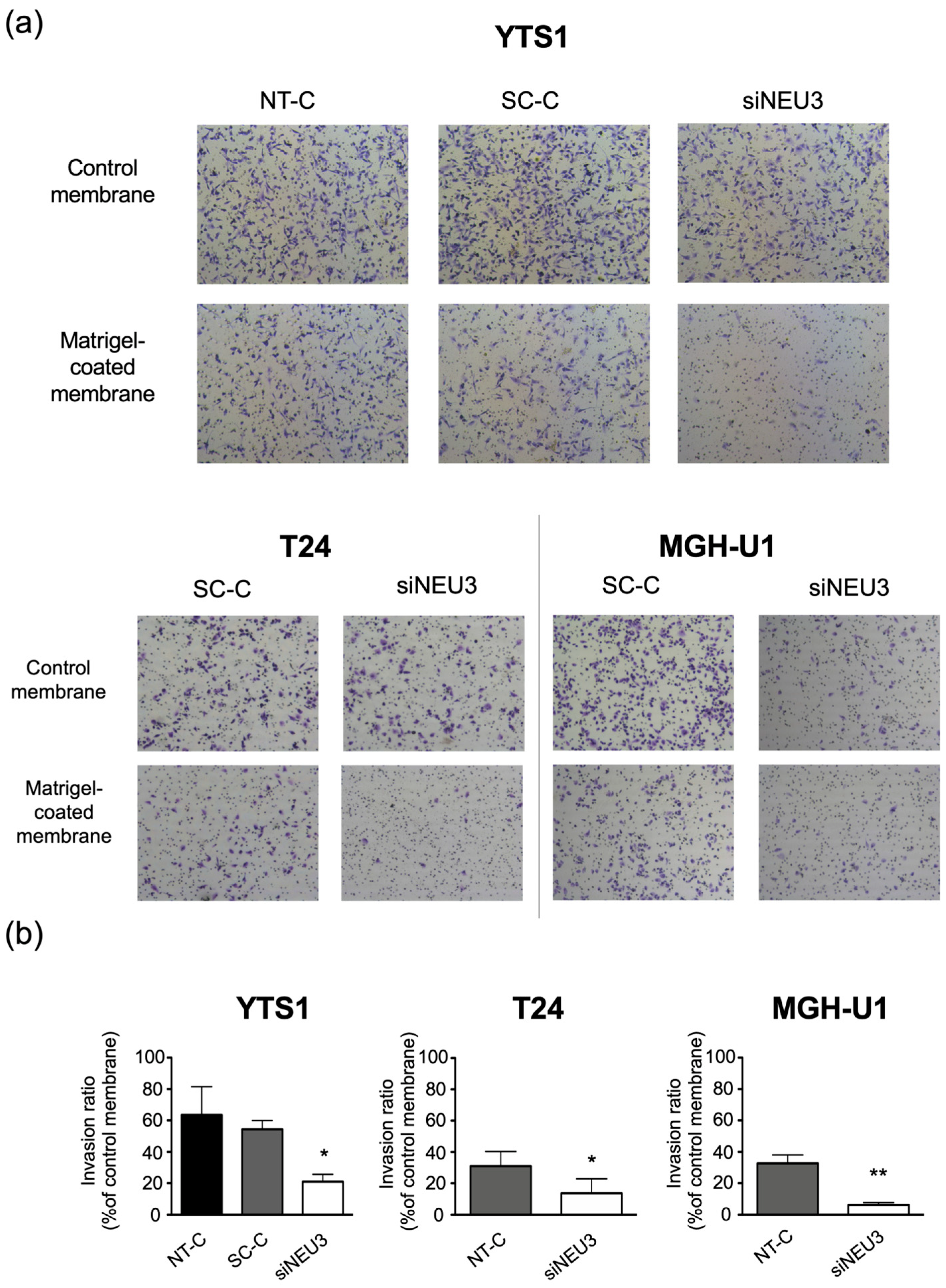 Biomedicines 12 00192 g004