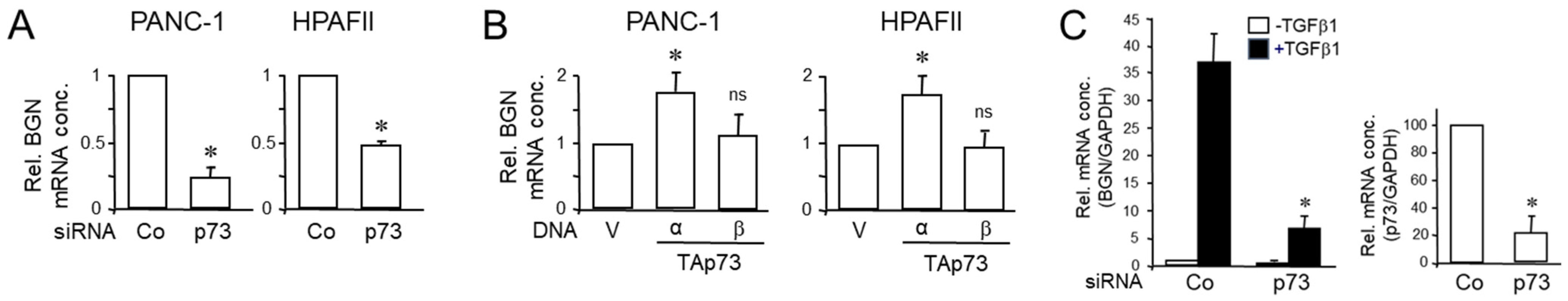 Biomedicines 12 00199 g002