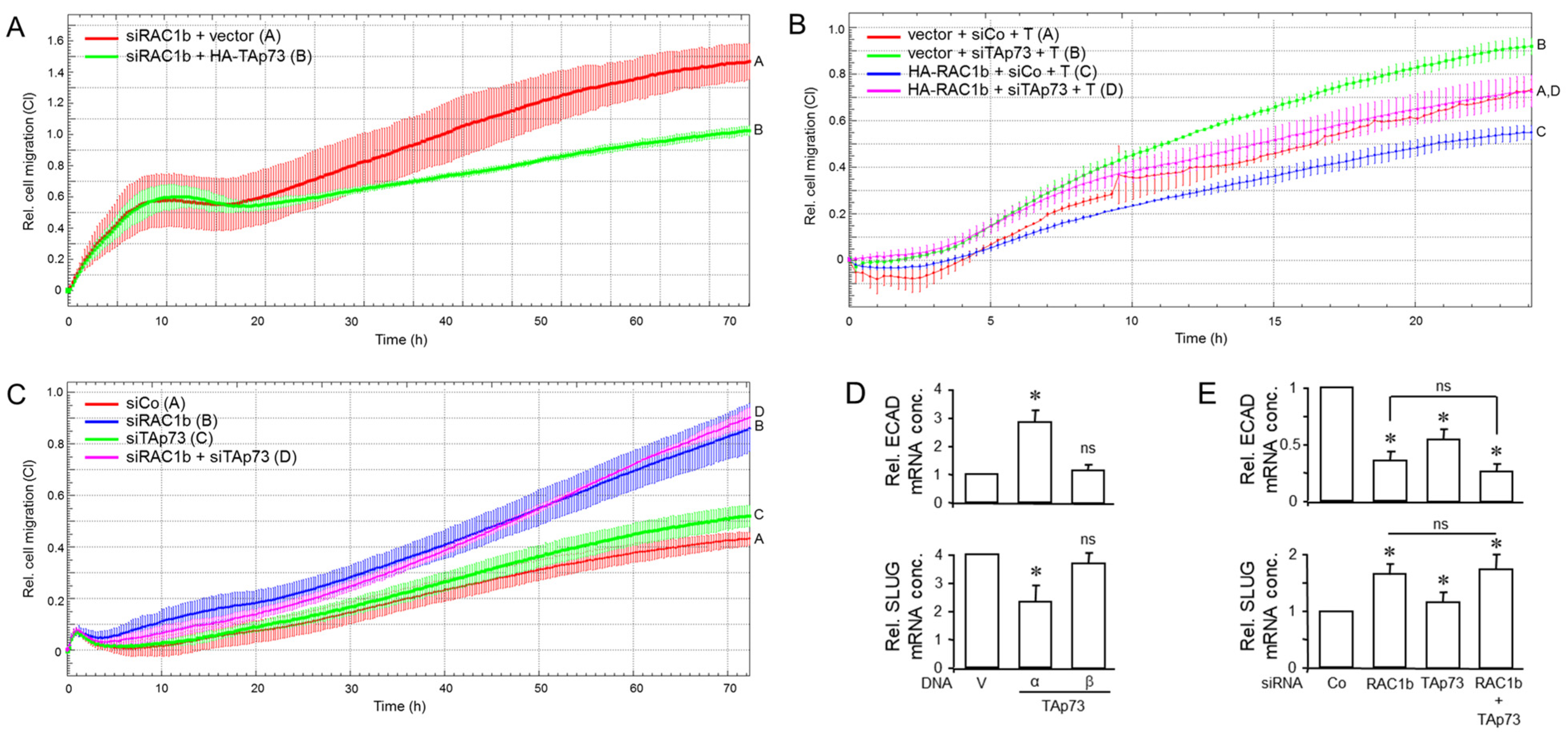 Biomedicines 12 00199 g005