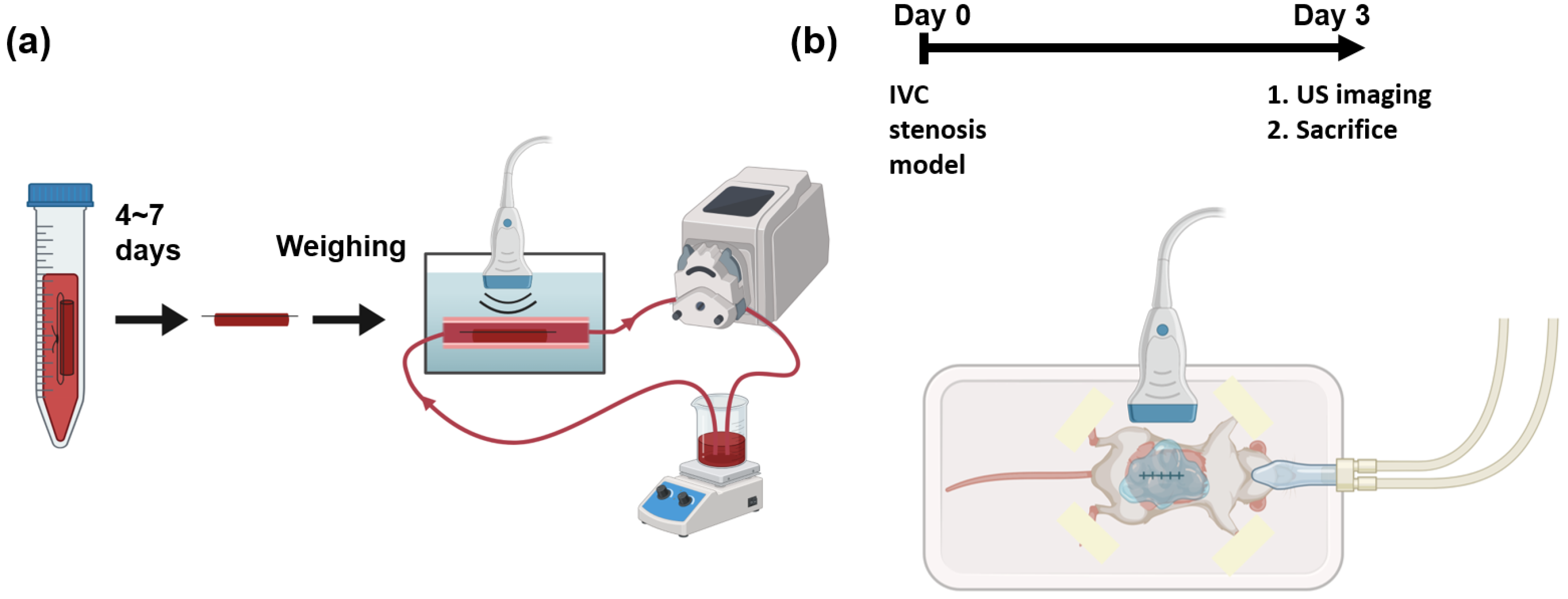 Biomedicines 12 00200 g001