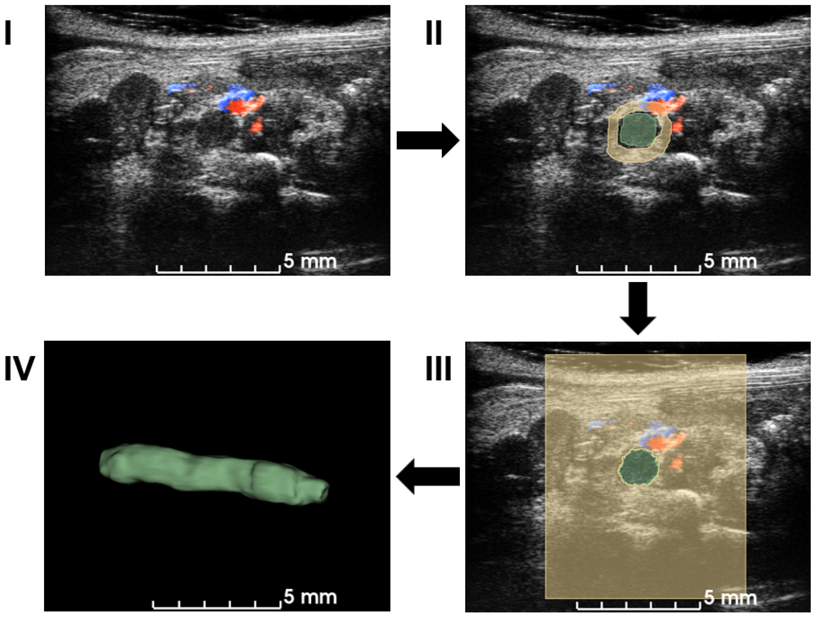 Biomedicines 12 00200 g002