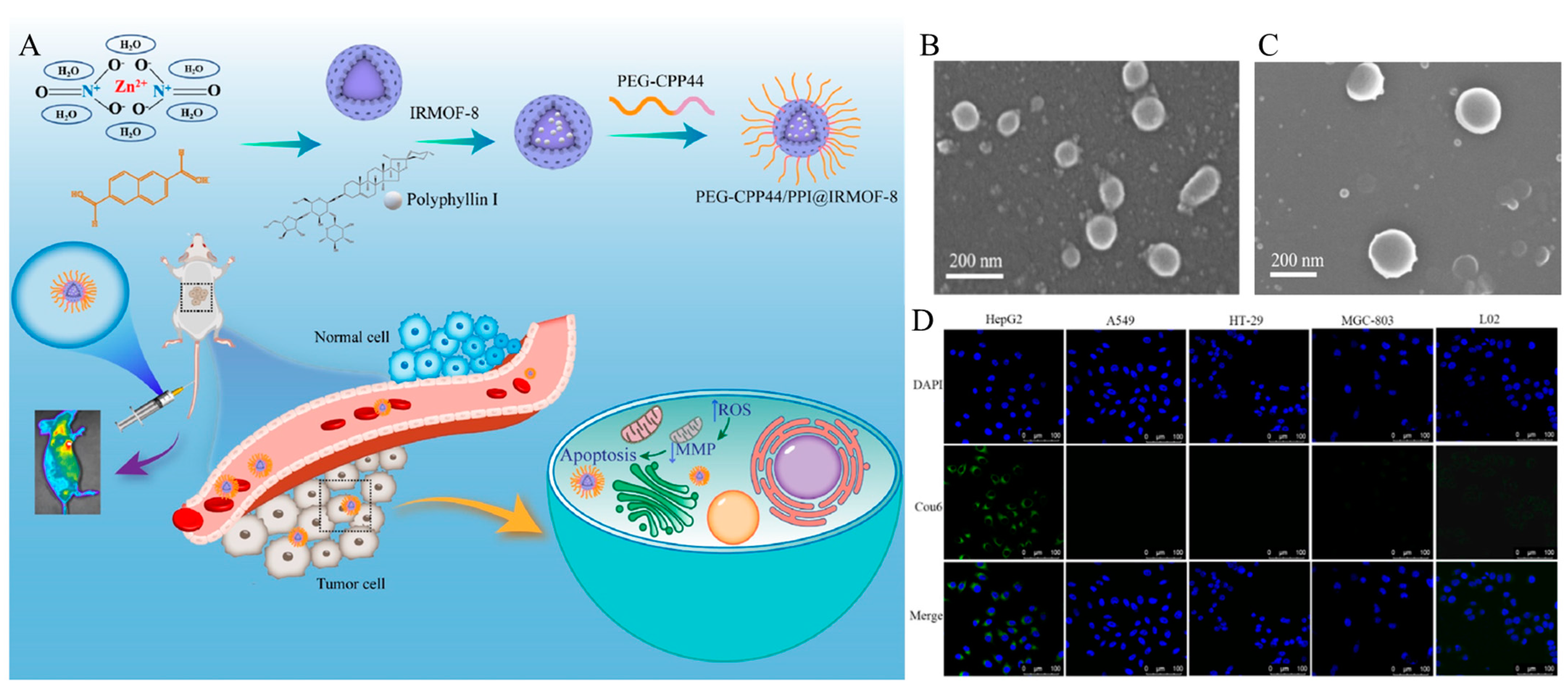 Biomedicines 12 00202 g001