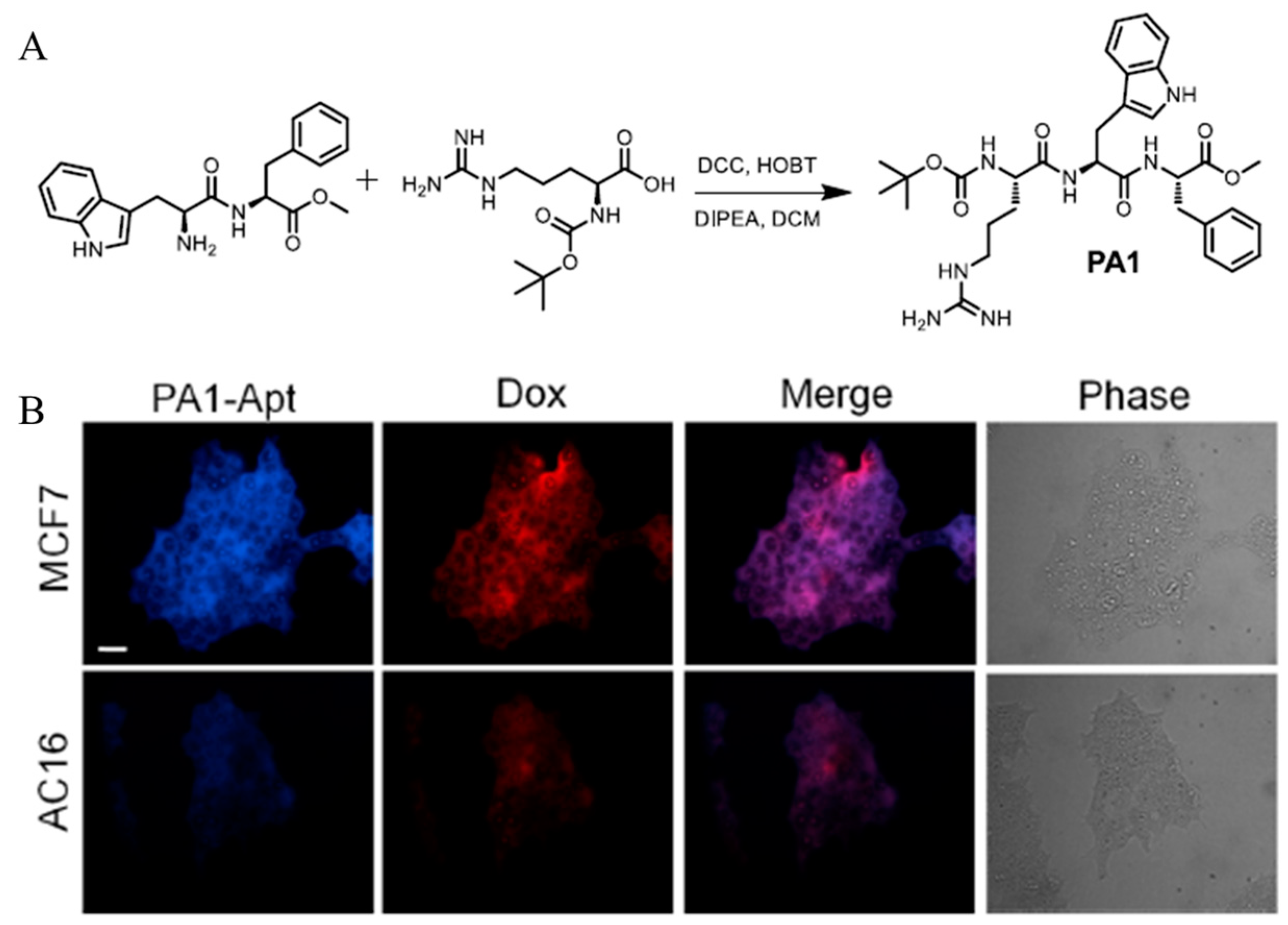 Biomedicines 12 00202 g003