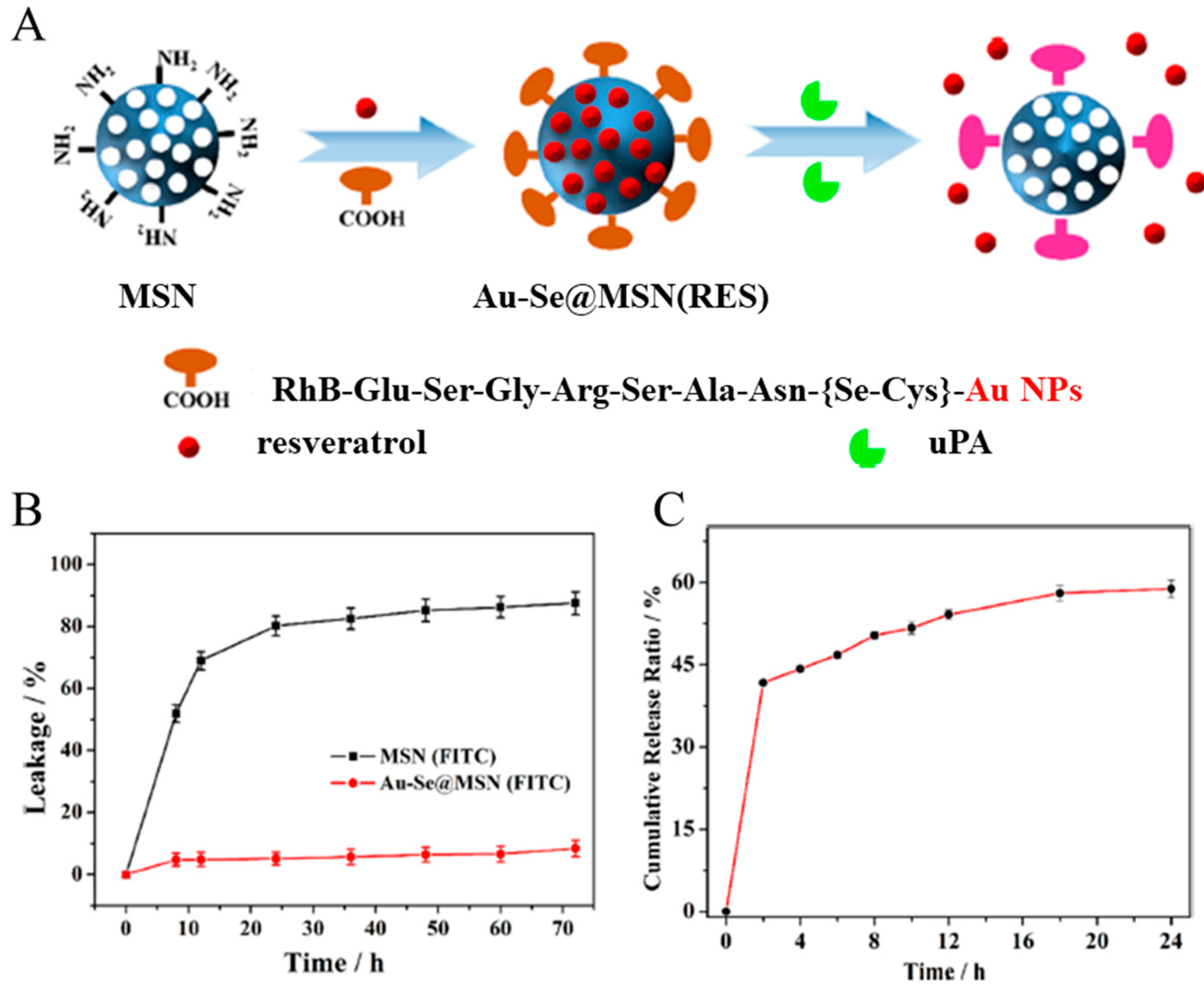 Biomedicines 12 00202 g005